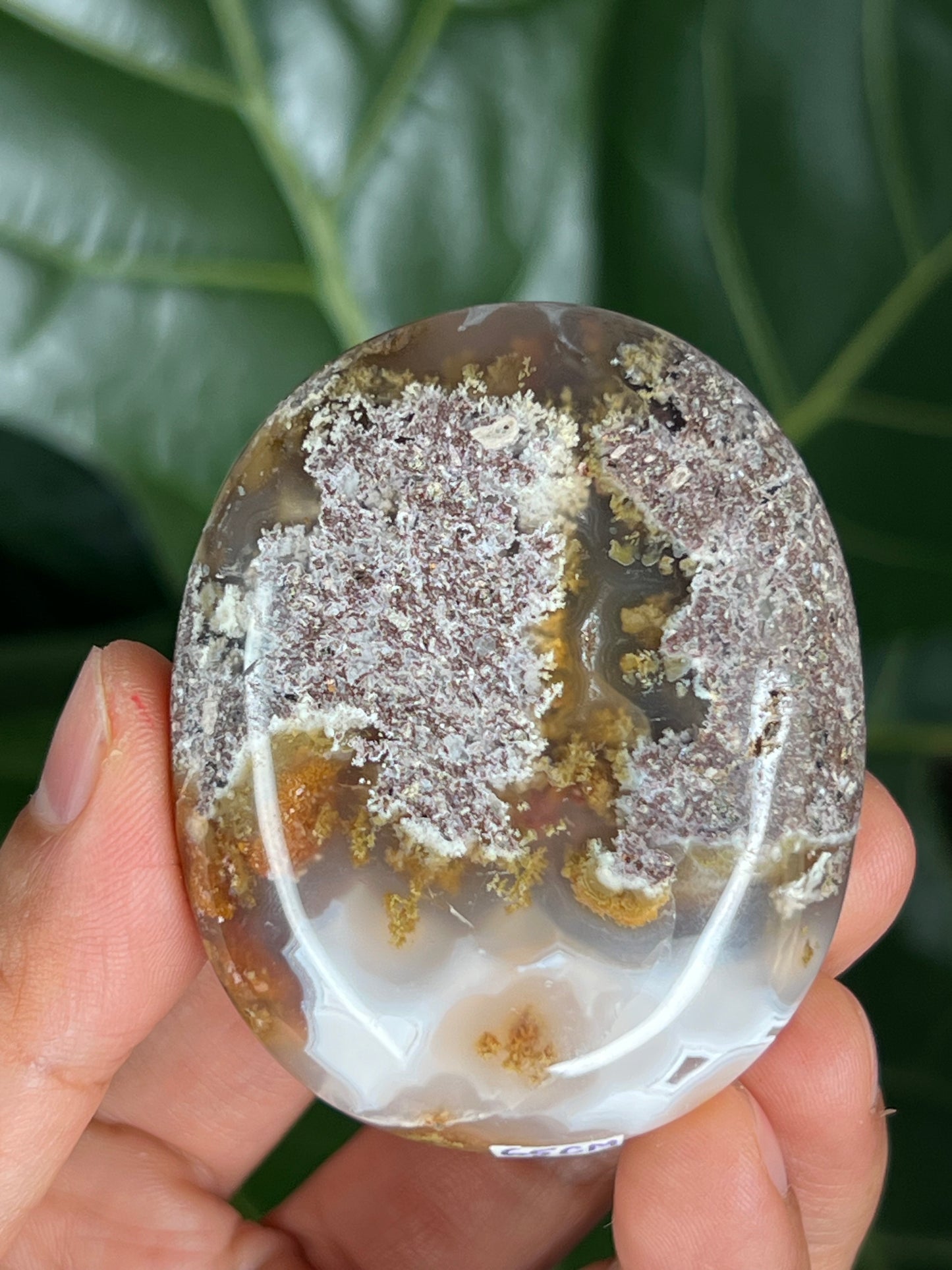 Scenic Moss Agate Palmstone