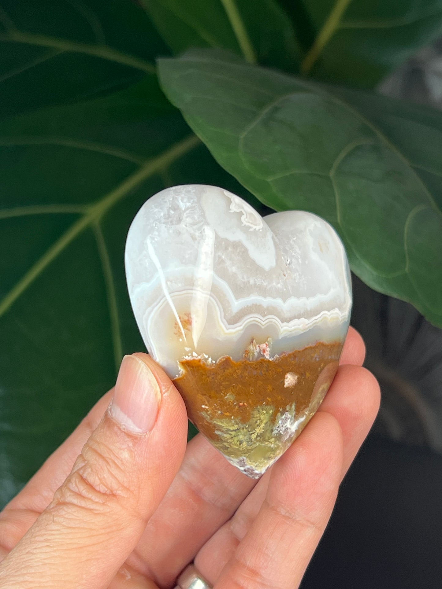 Scenic Moss Agate Heart