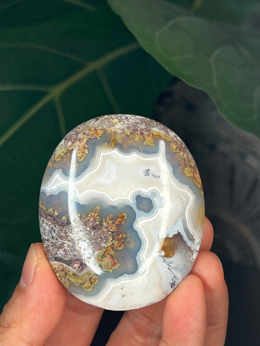 Scenic Moss Agate Palmstone