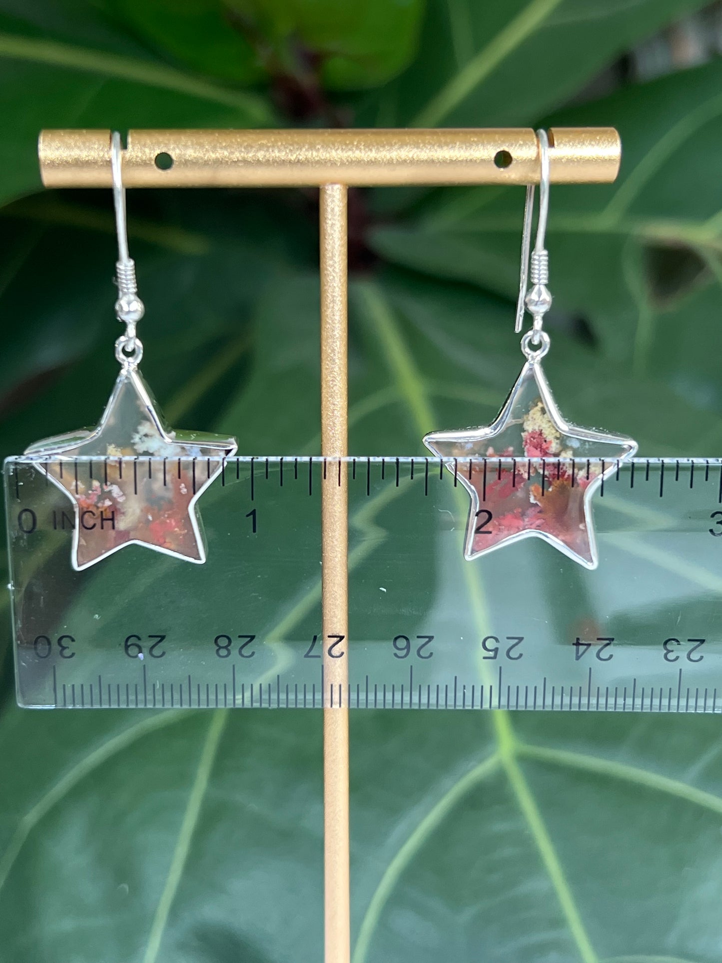 Scenic Moss Agate Star Earrings