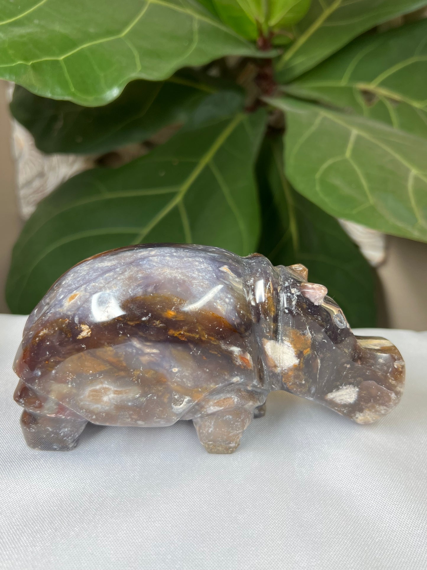 Purple Chalcedony Hippo