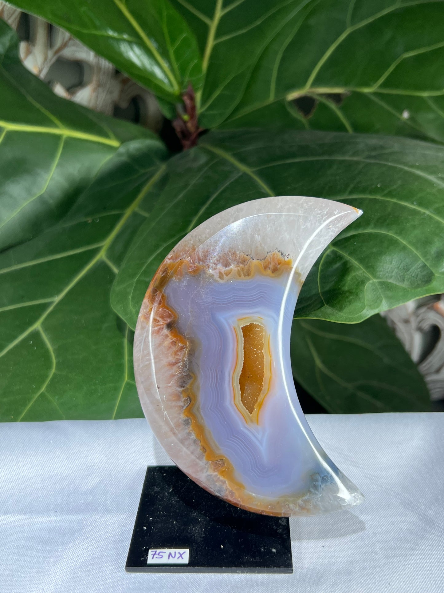 Brazilian Druzy Agate Moon