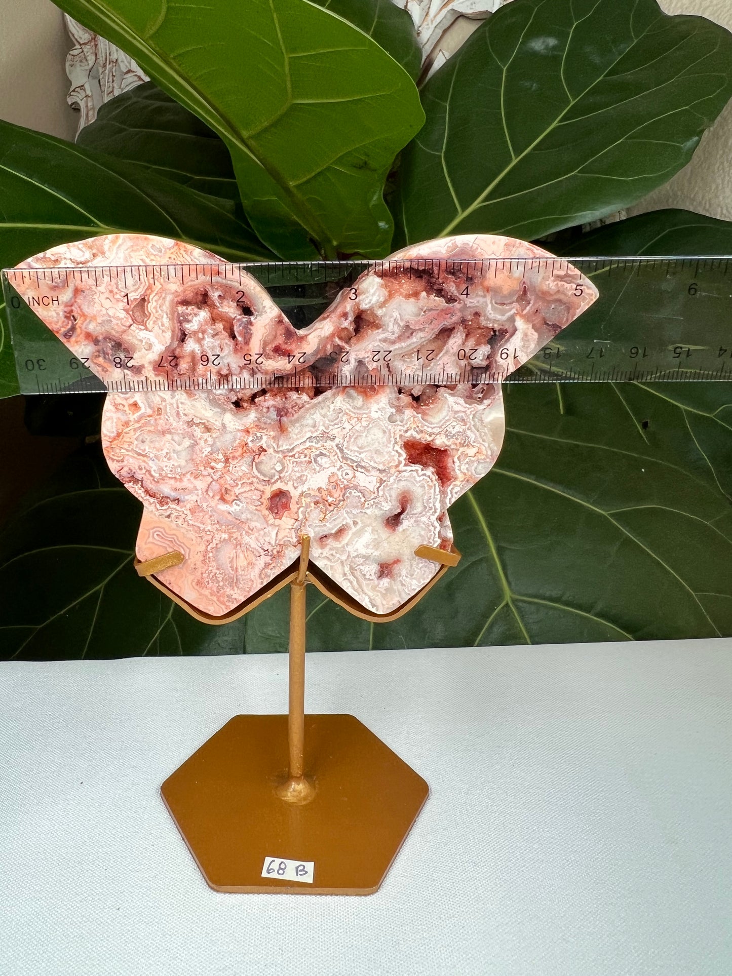 Crazy Lace Agate Butterfly