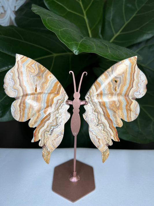 Crazy Lace Agate Wings