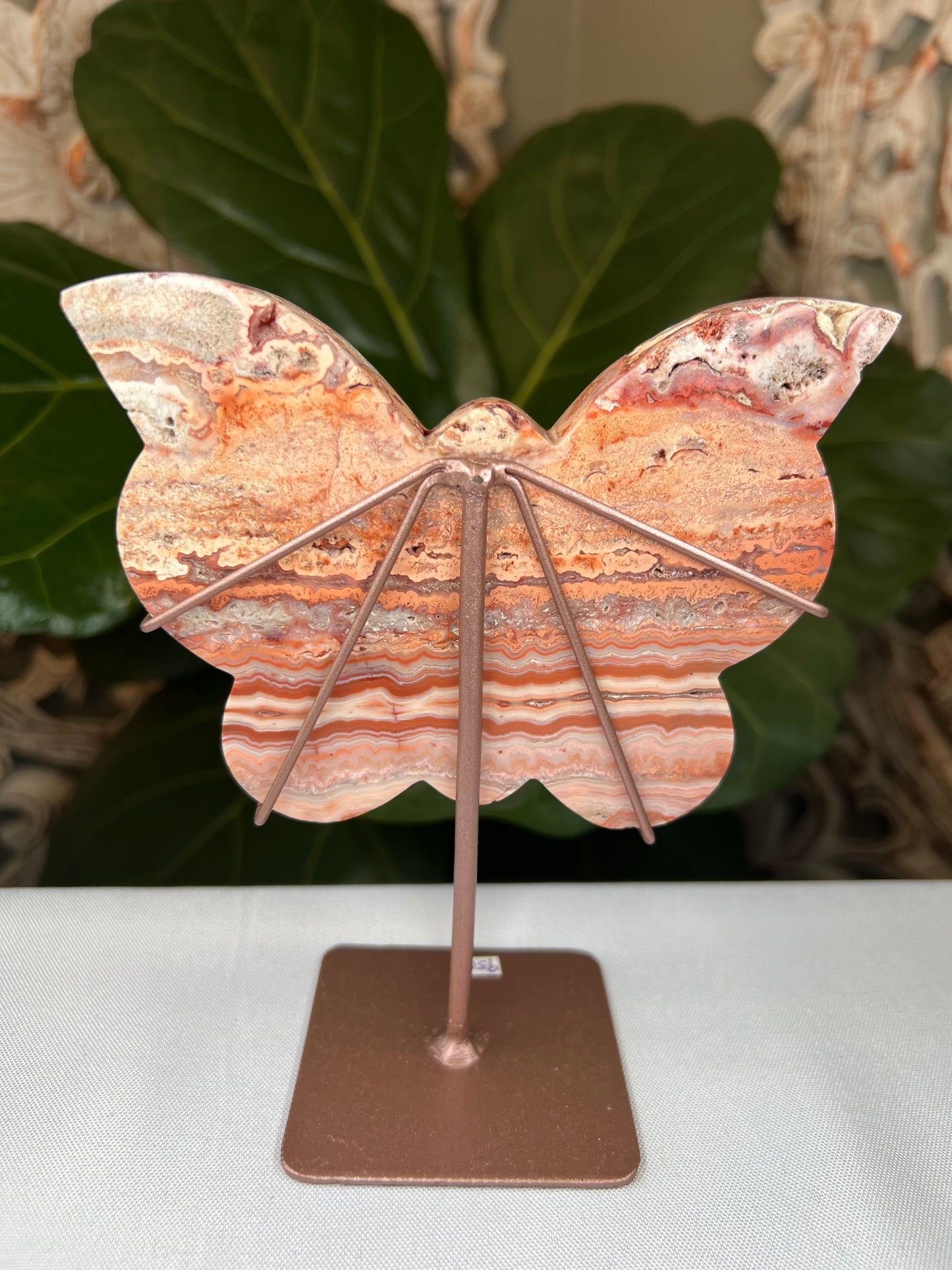 Crazy Lace Agate Butterfly