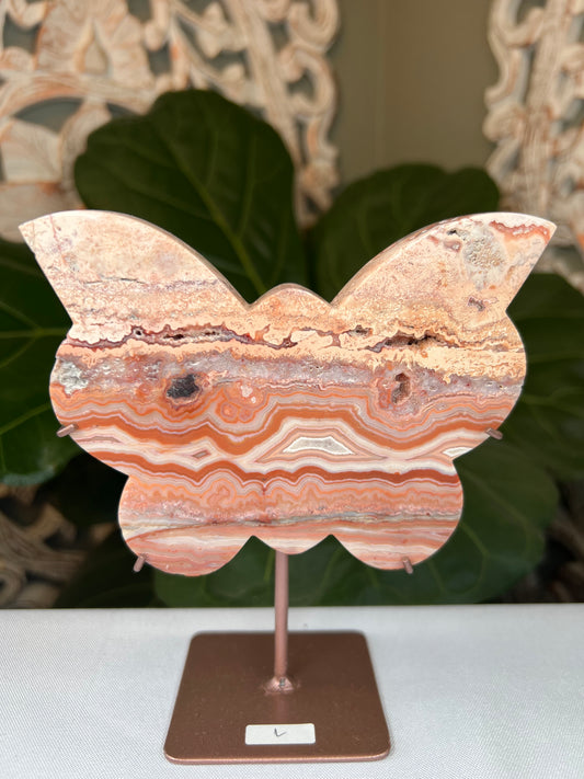 Crazy Lace Agate Butterfly