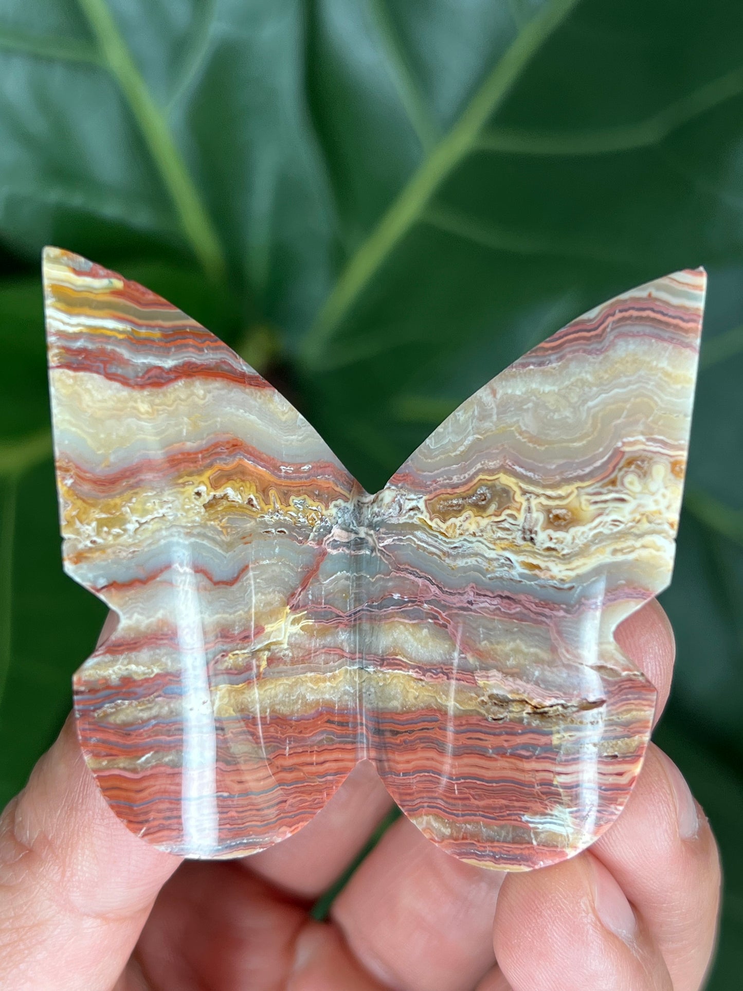 3D Butterfly Crazy Lace Agate