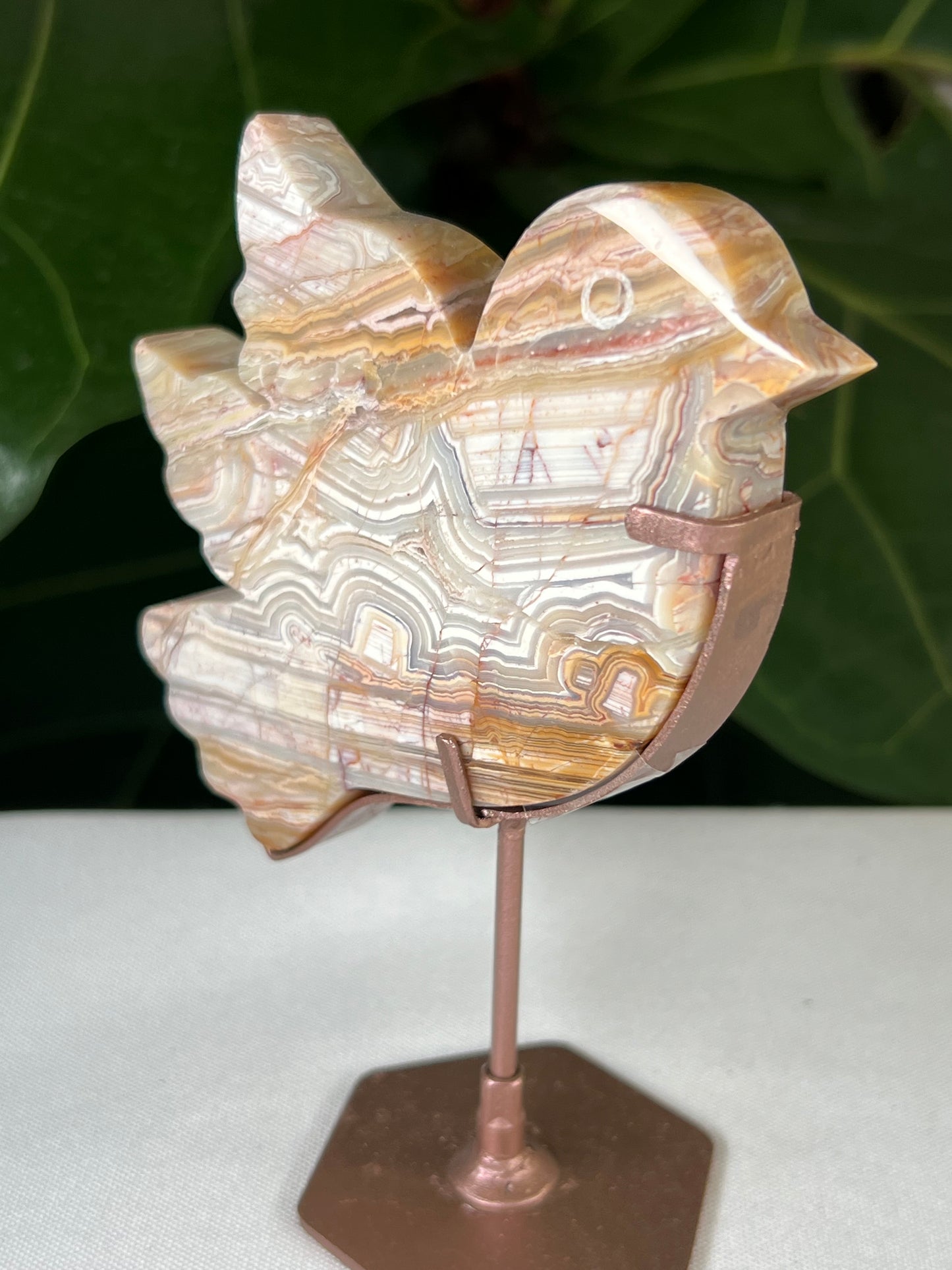 Crazy Lace Agate Bird