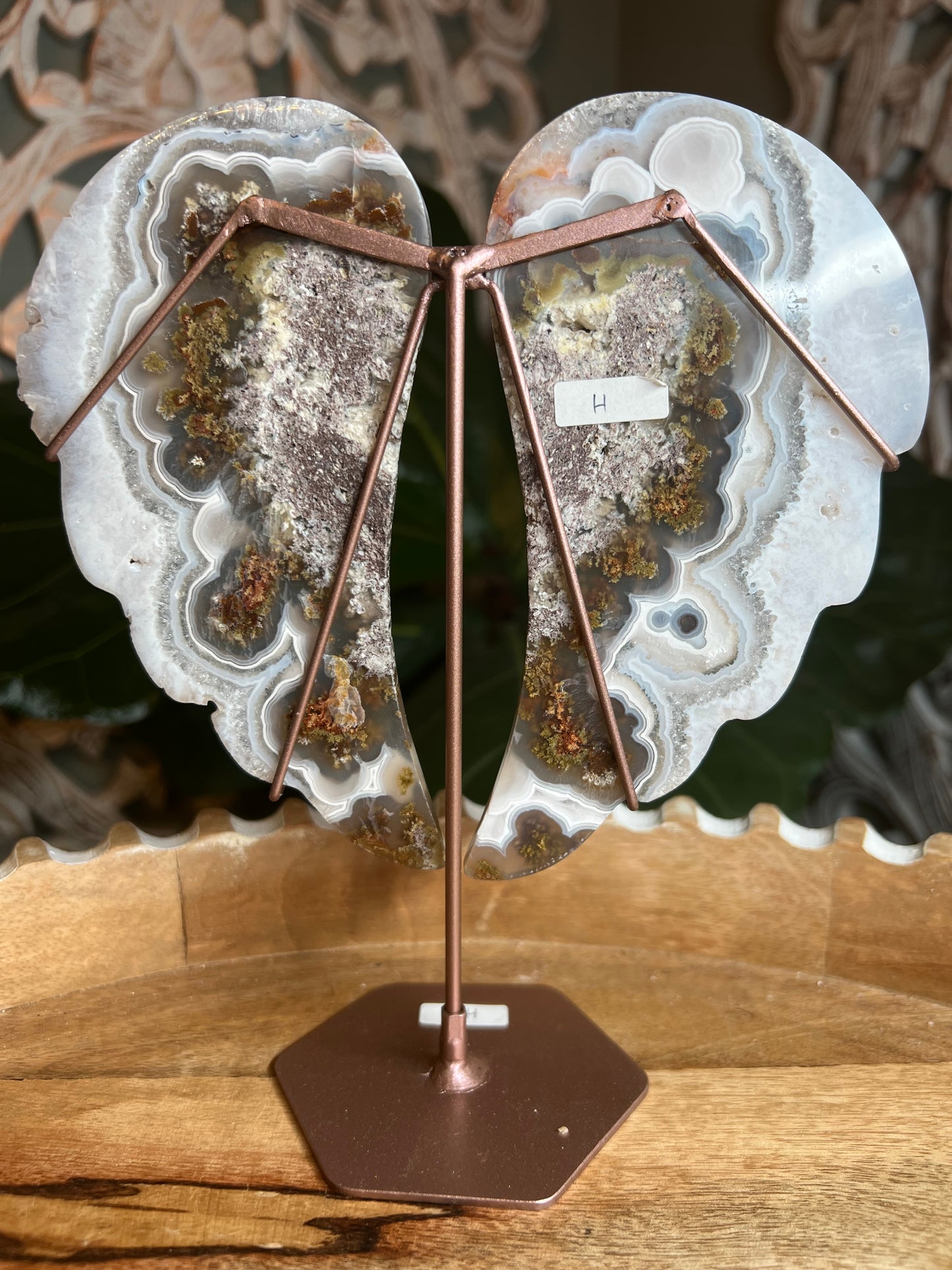 Scenic Moss Agate Angel Wings