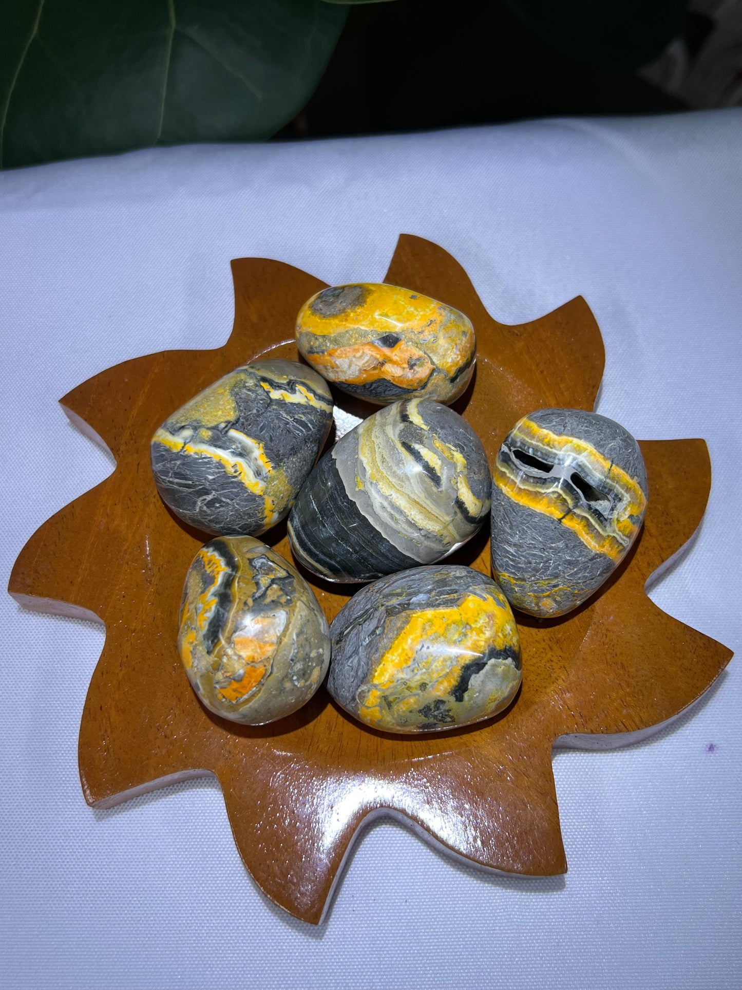 Bumblebee Jasper Tumble