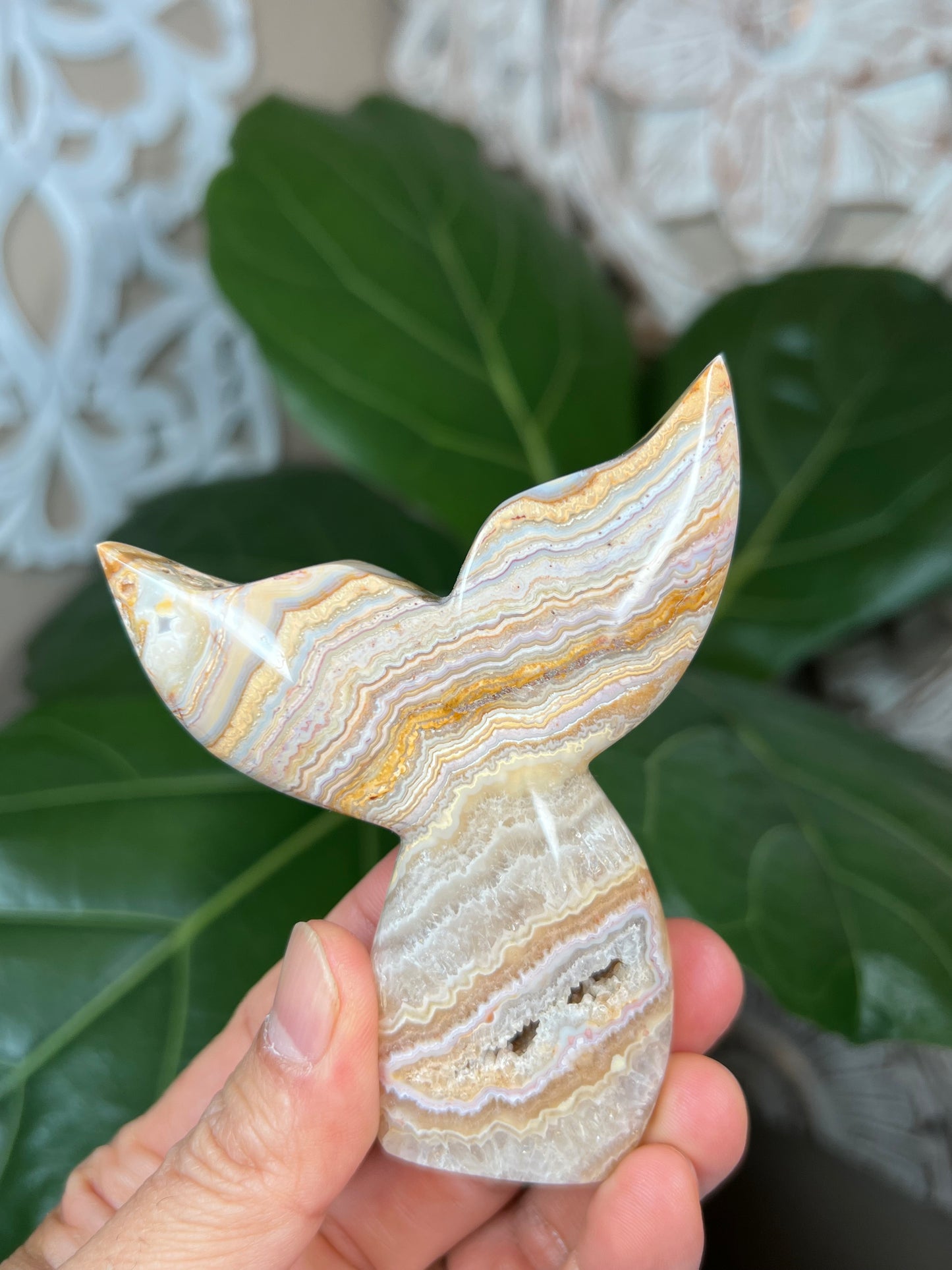 Crazy Lace Agate Mermaid tail