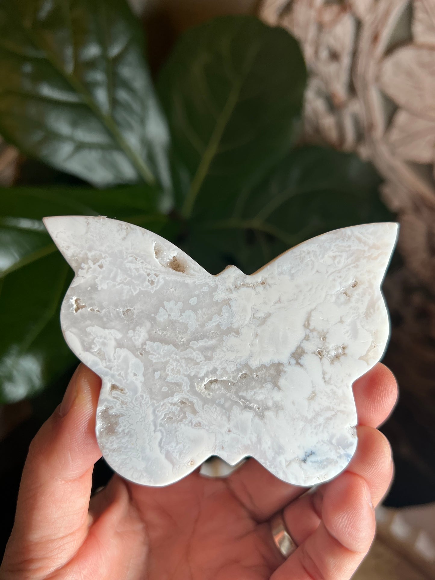 White Plume Agate Butterfly