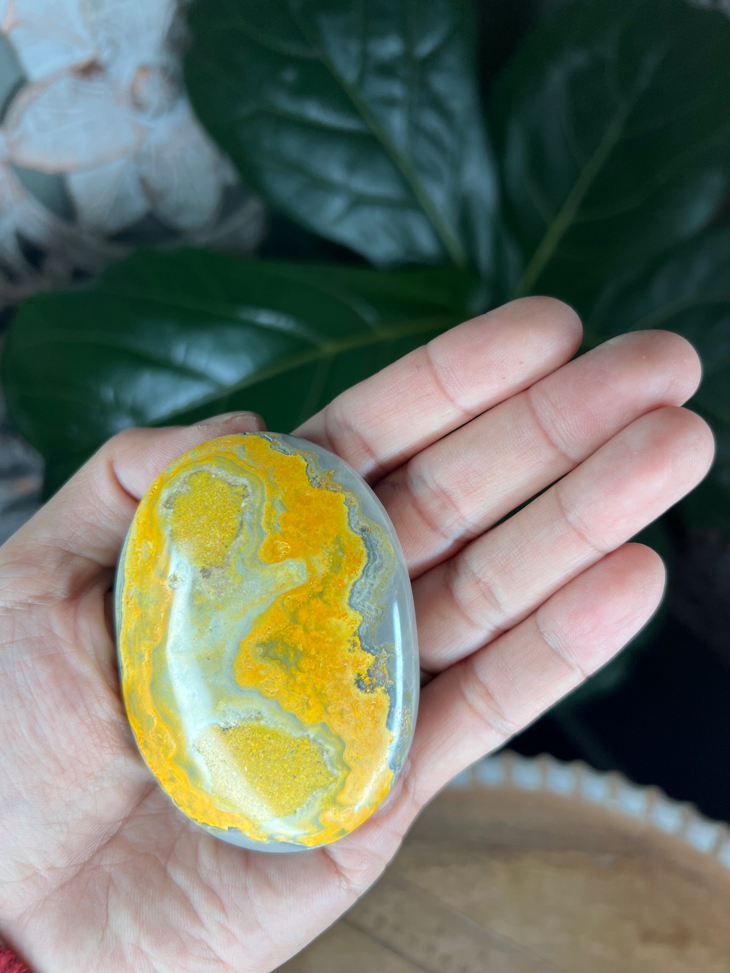 Bumblebee Jasper Palmstone