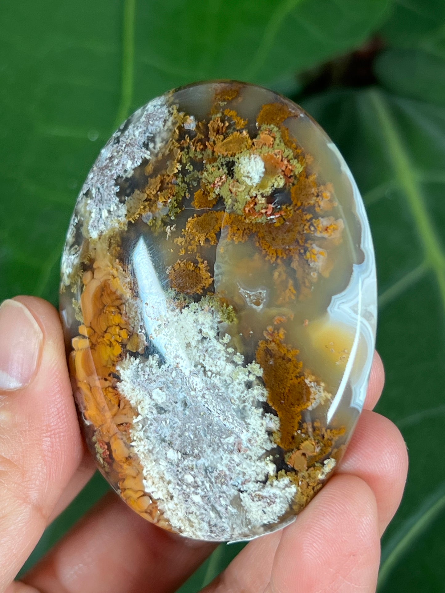 Scenic moss agate palm stone