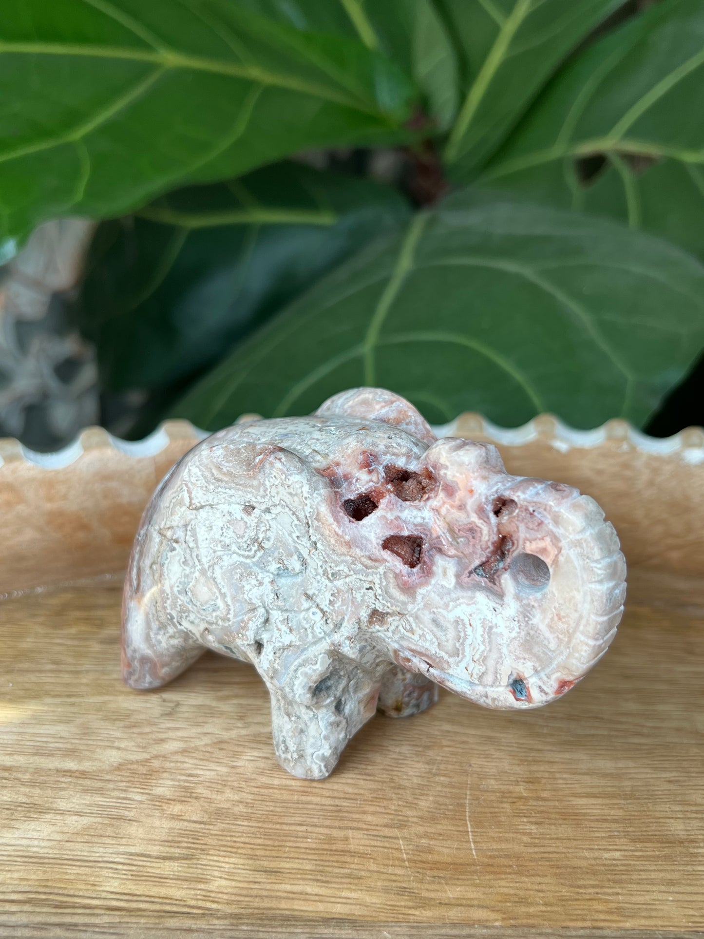 Crazy Lace Agate Elephant