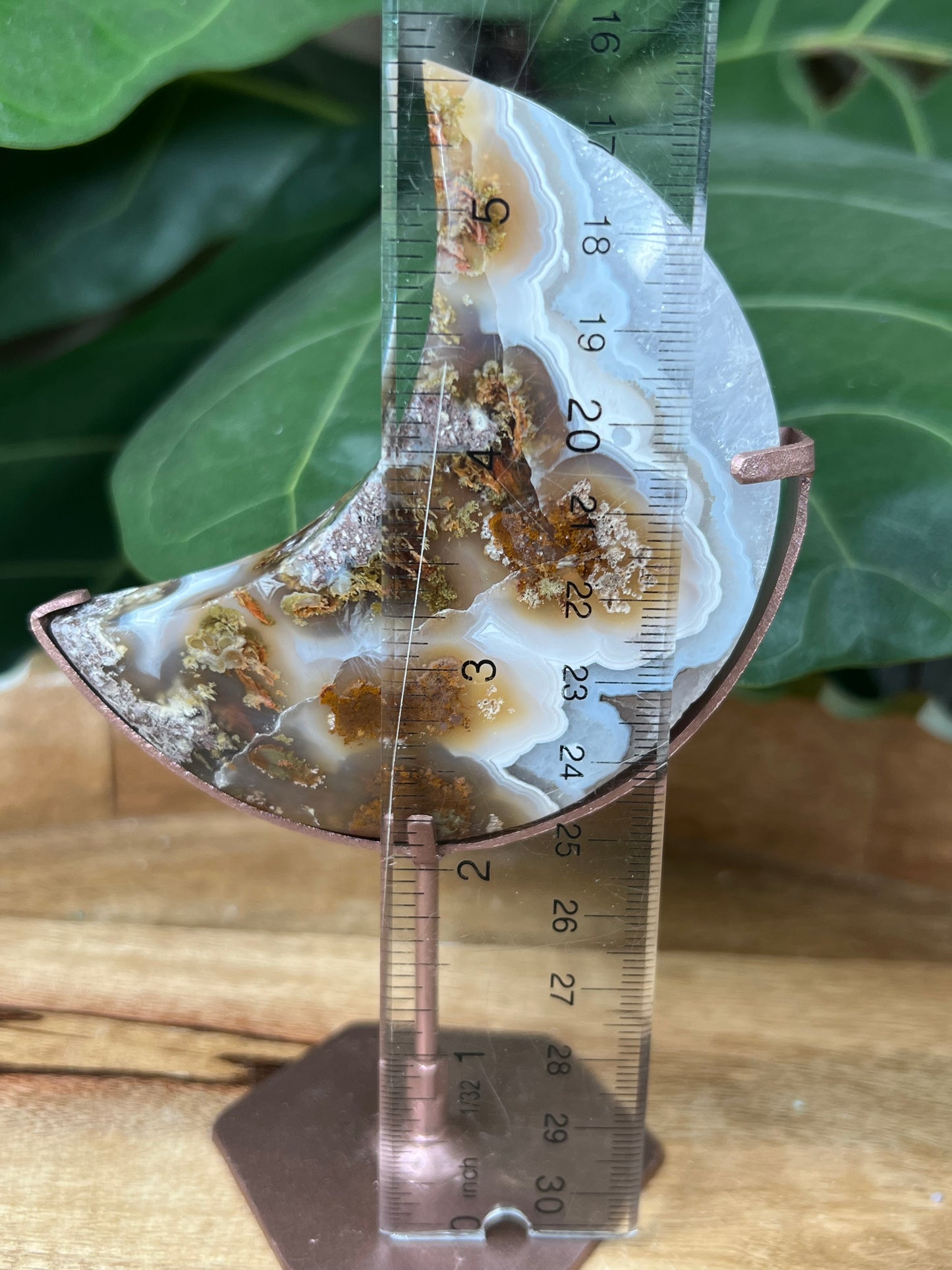 Scenic Moss Agate on Stand