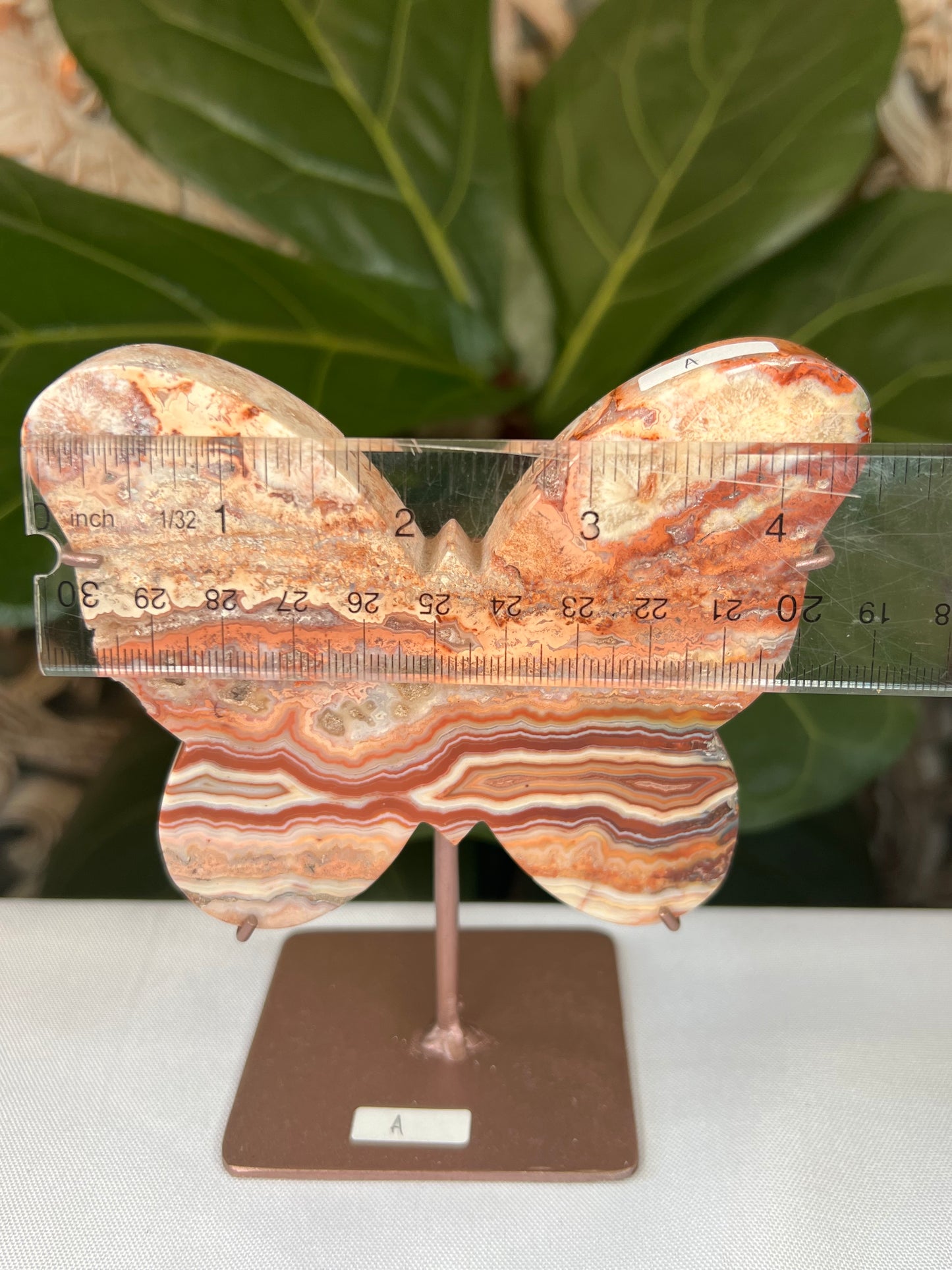 Crazy Lace Agate Butterfly