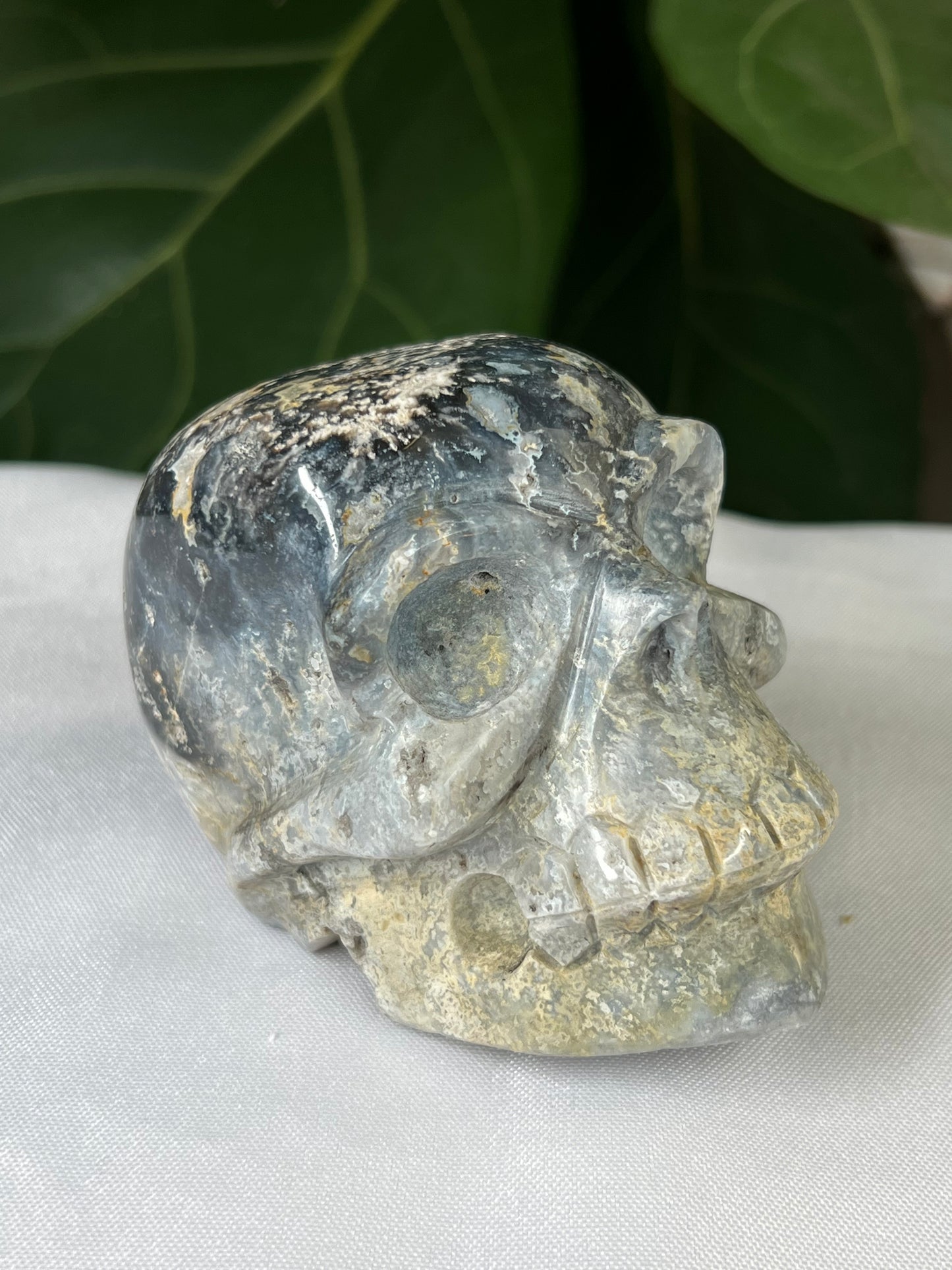 Blue Plume Agate Skull