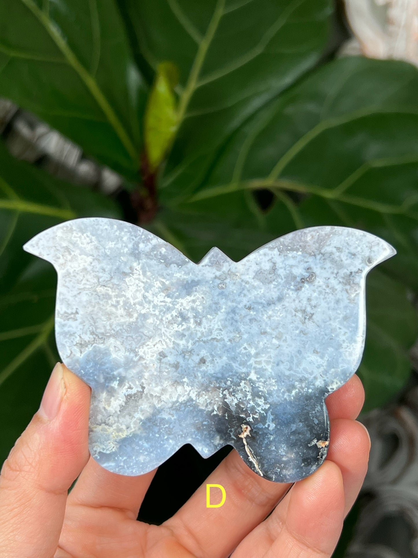 Blue Plume Agate Butterfly