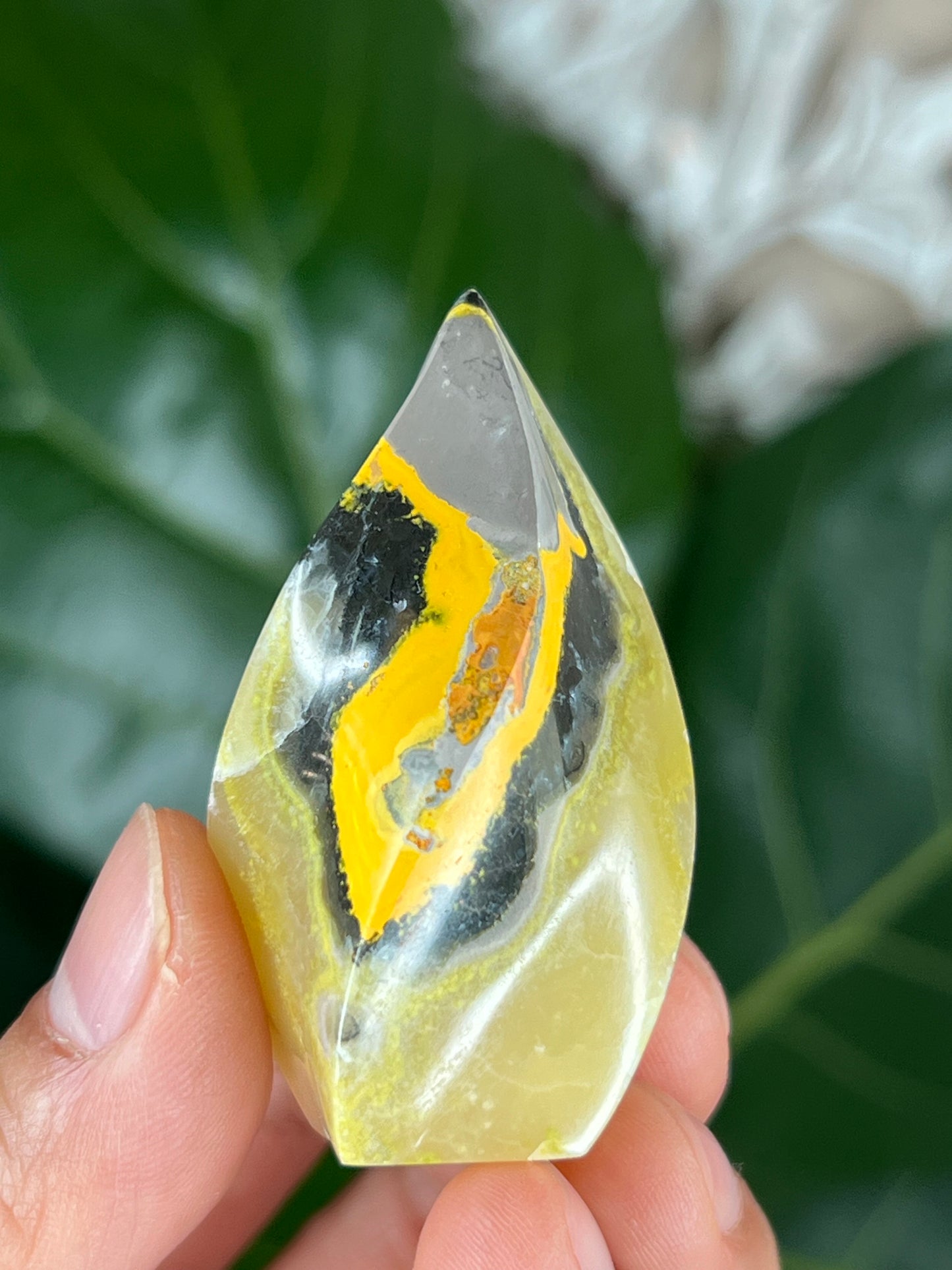 Bumblebee Jasper Flame