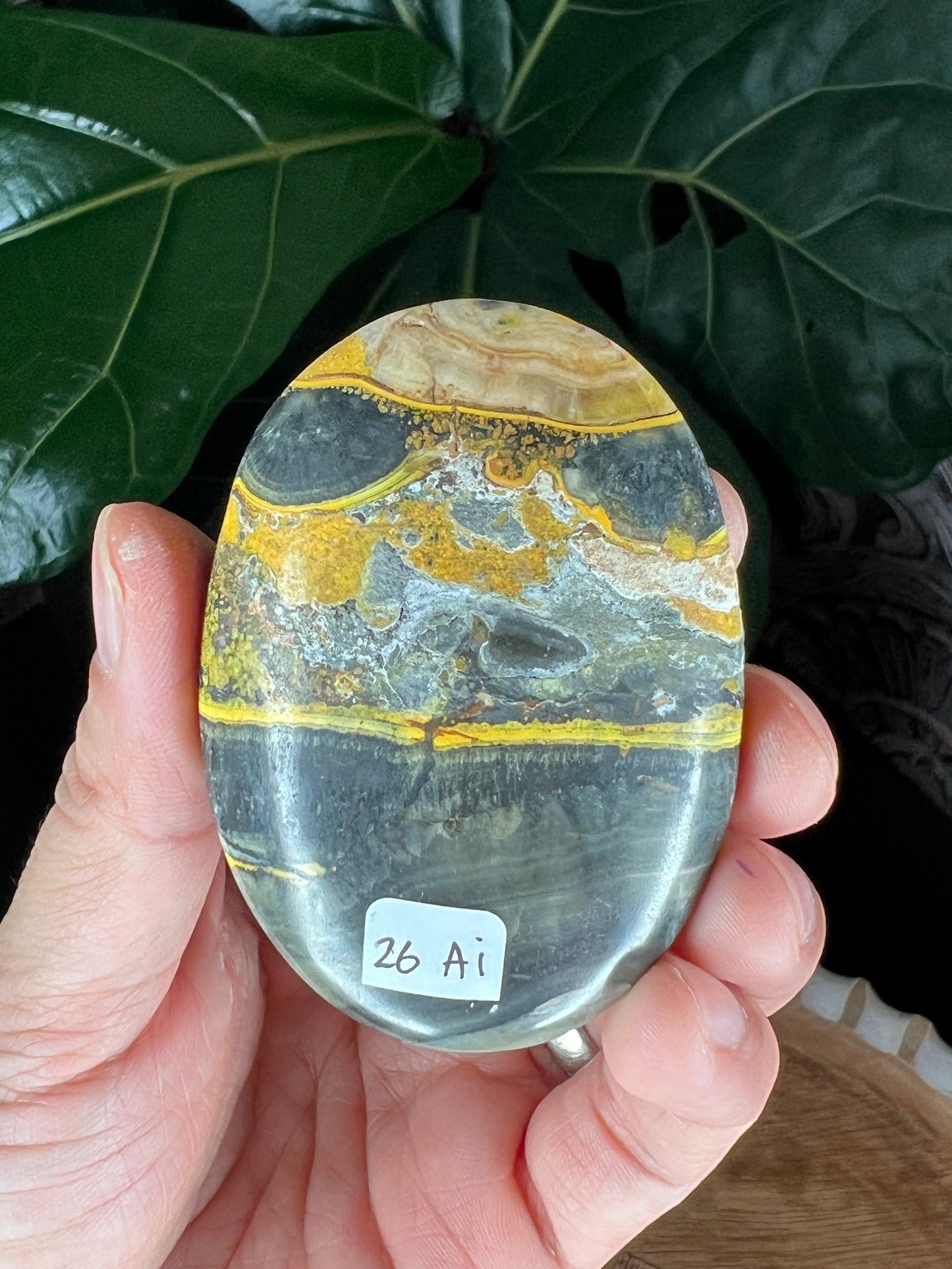 Bumblebee Jasper Palmstone