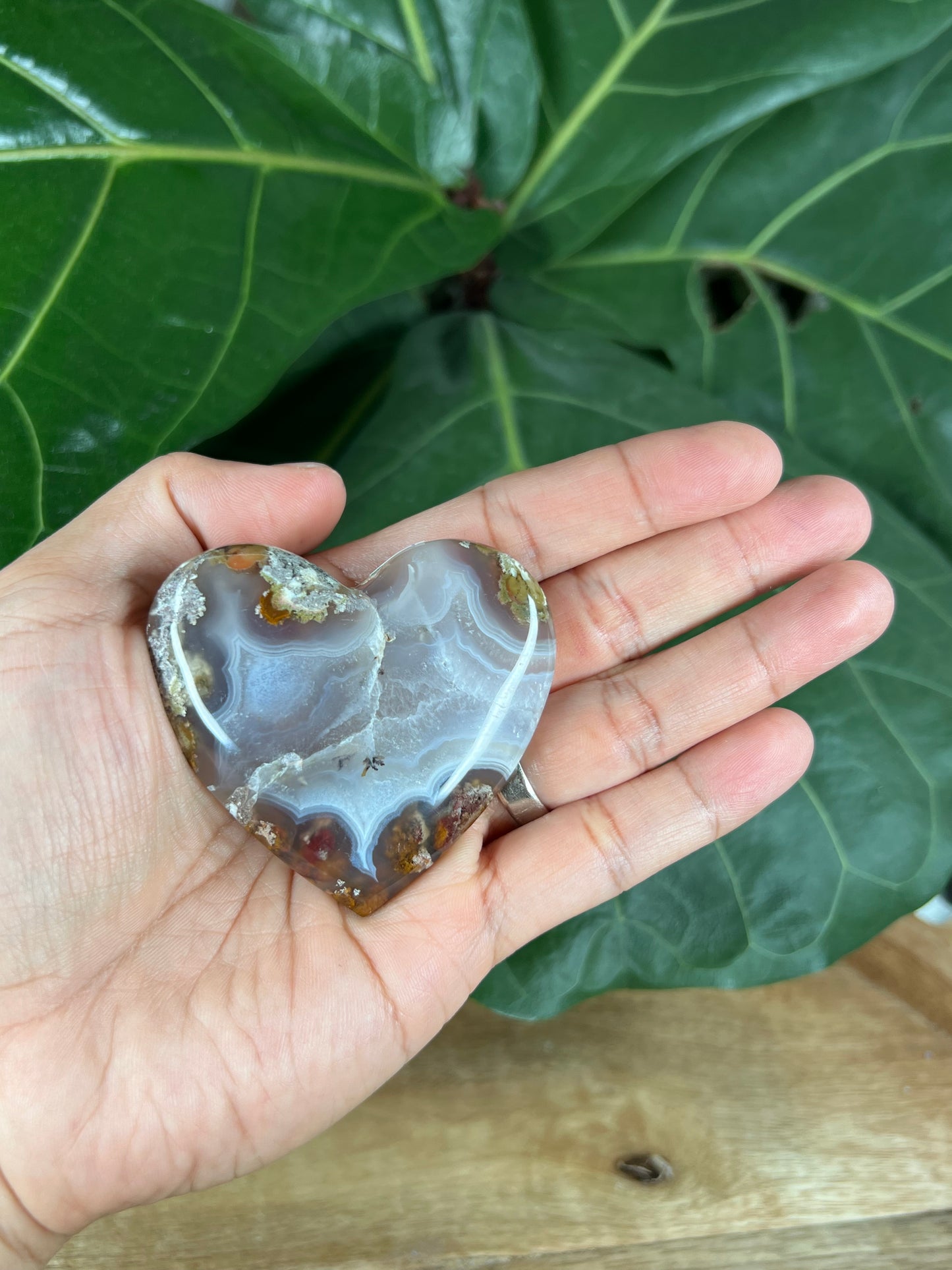 Scenic Moss Agate Heart