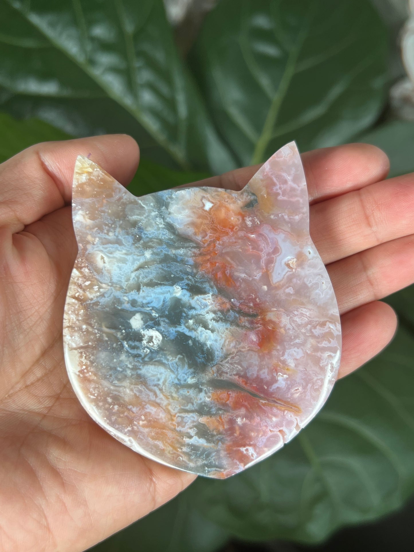 Rainbow Plume Agate Cat