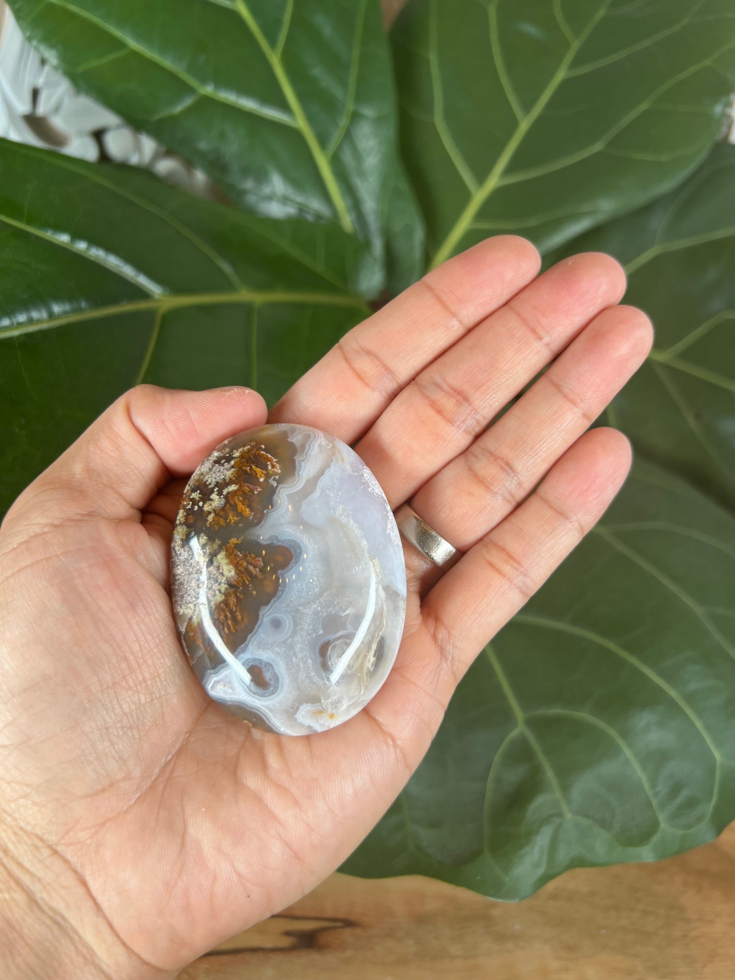 Scenic Moss Agate Palm Stone