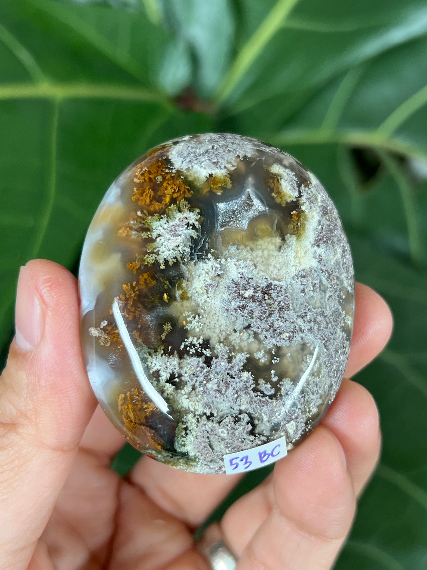 Scenic Moss Agate Palmstone