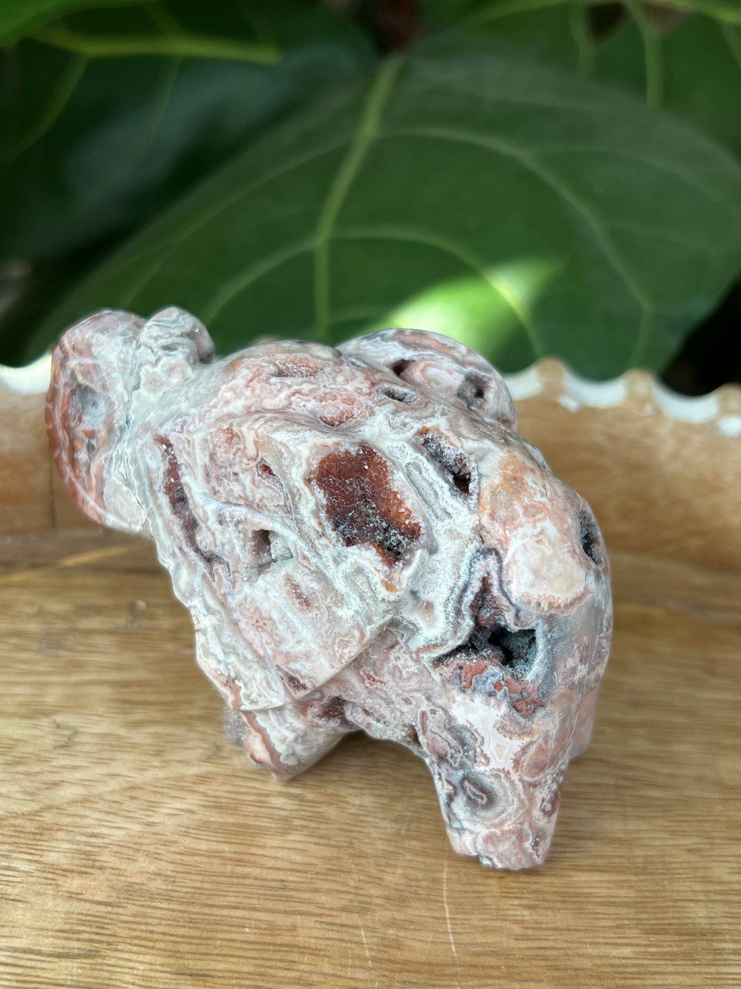 Crazy Lace Agate Elephant