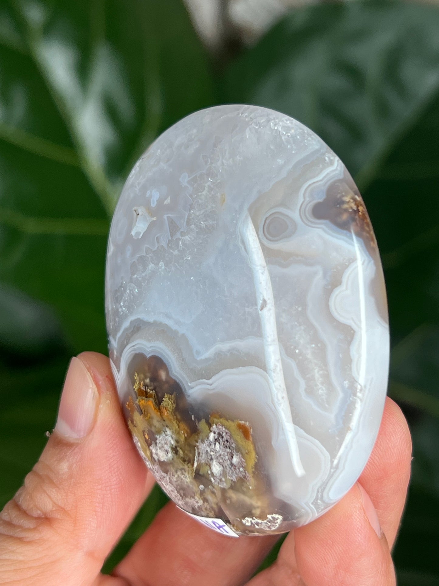 Scenic Moss Agate Palmstone