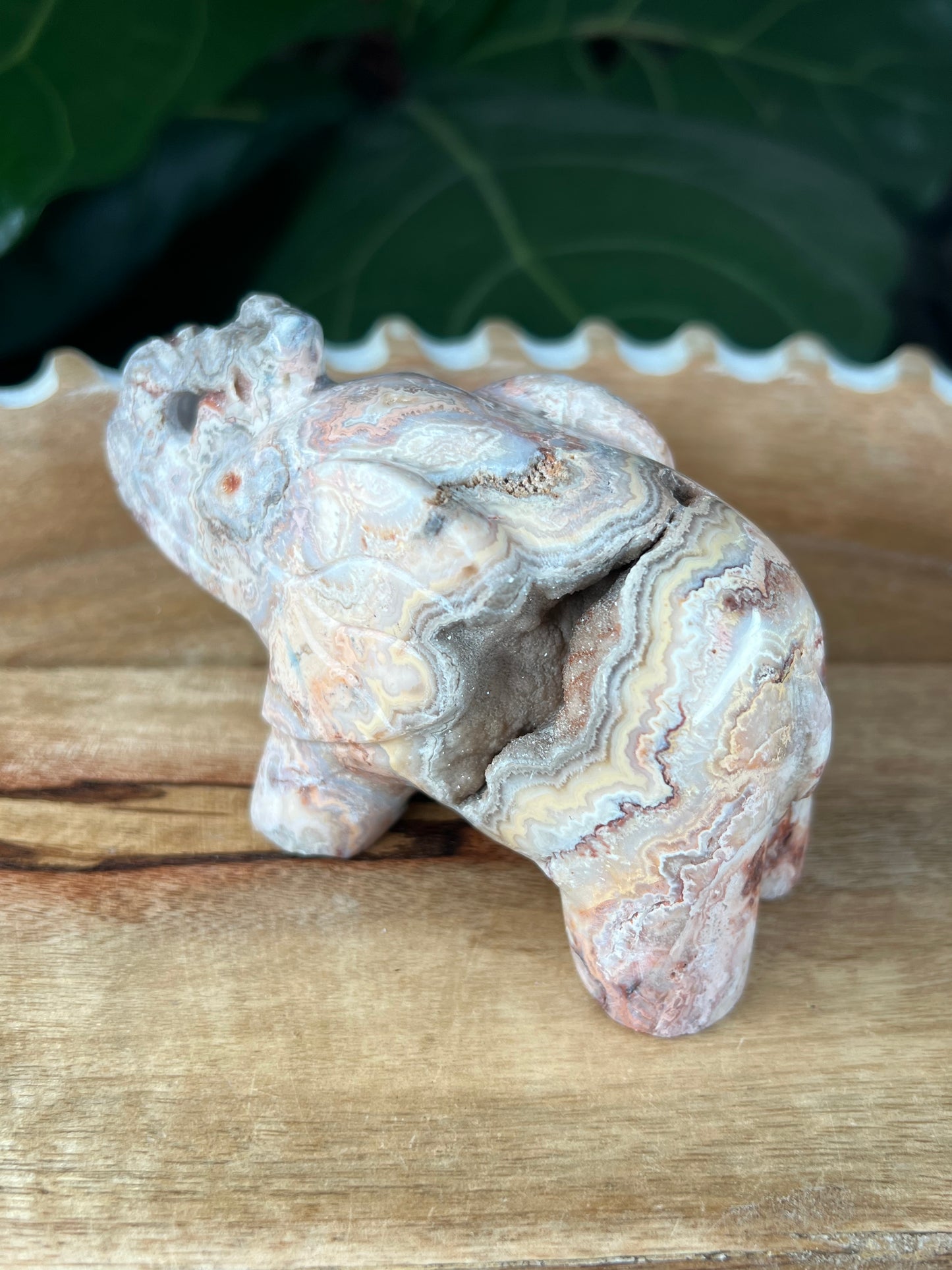 Crazy Lace Agate Elephant