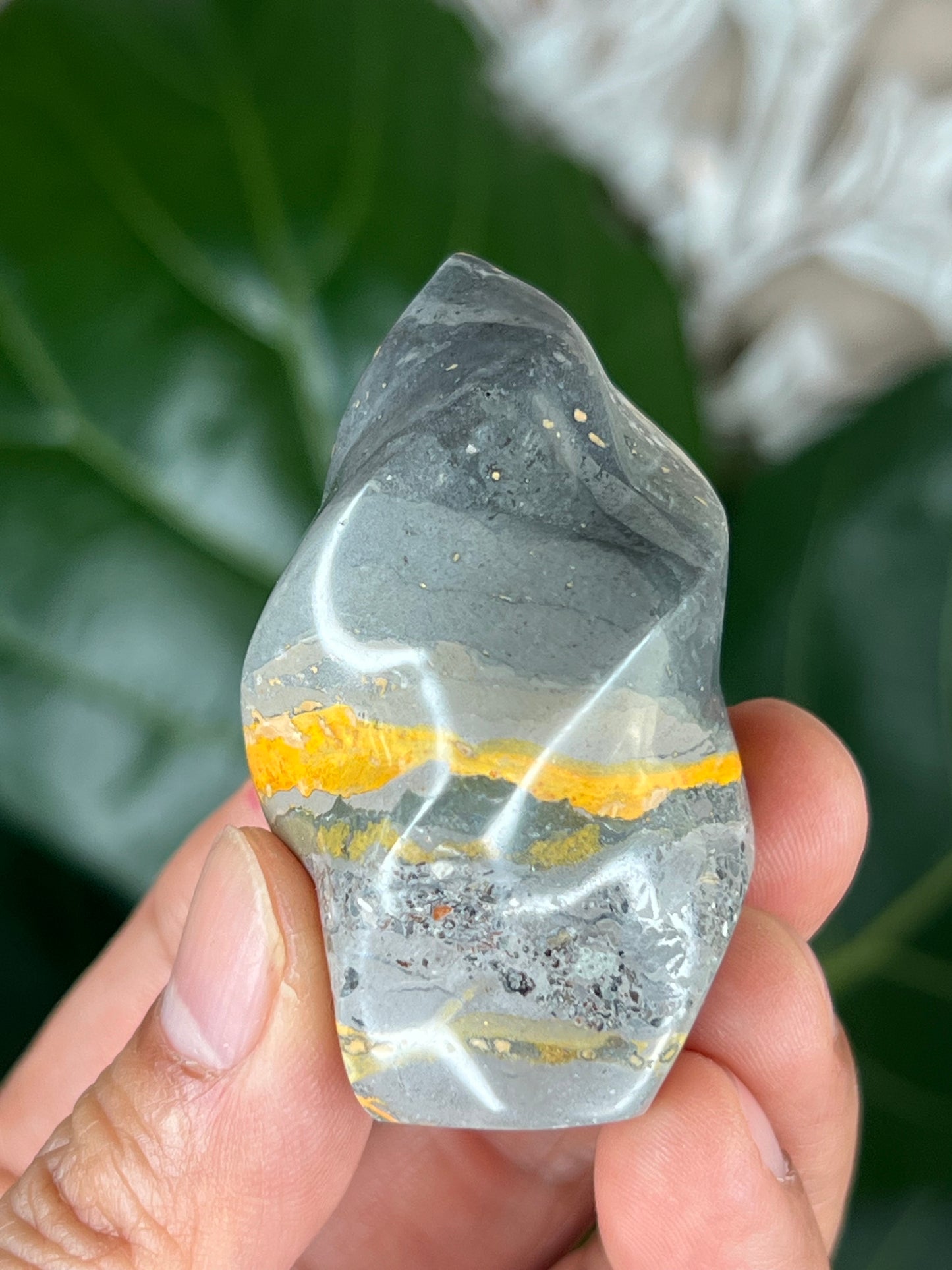 Bumblebee Jasper Flame