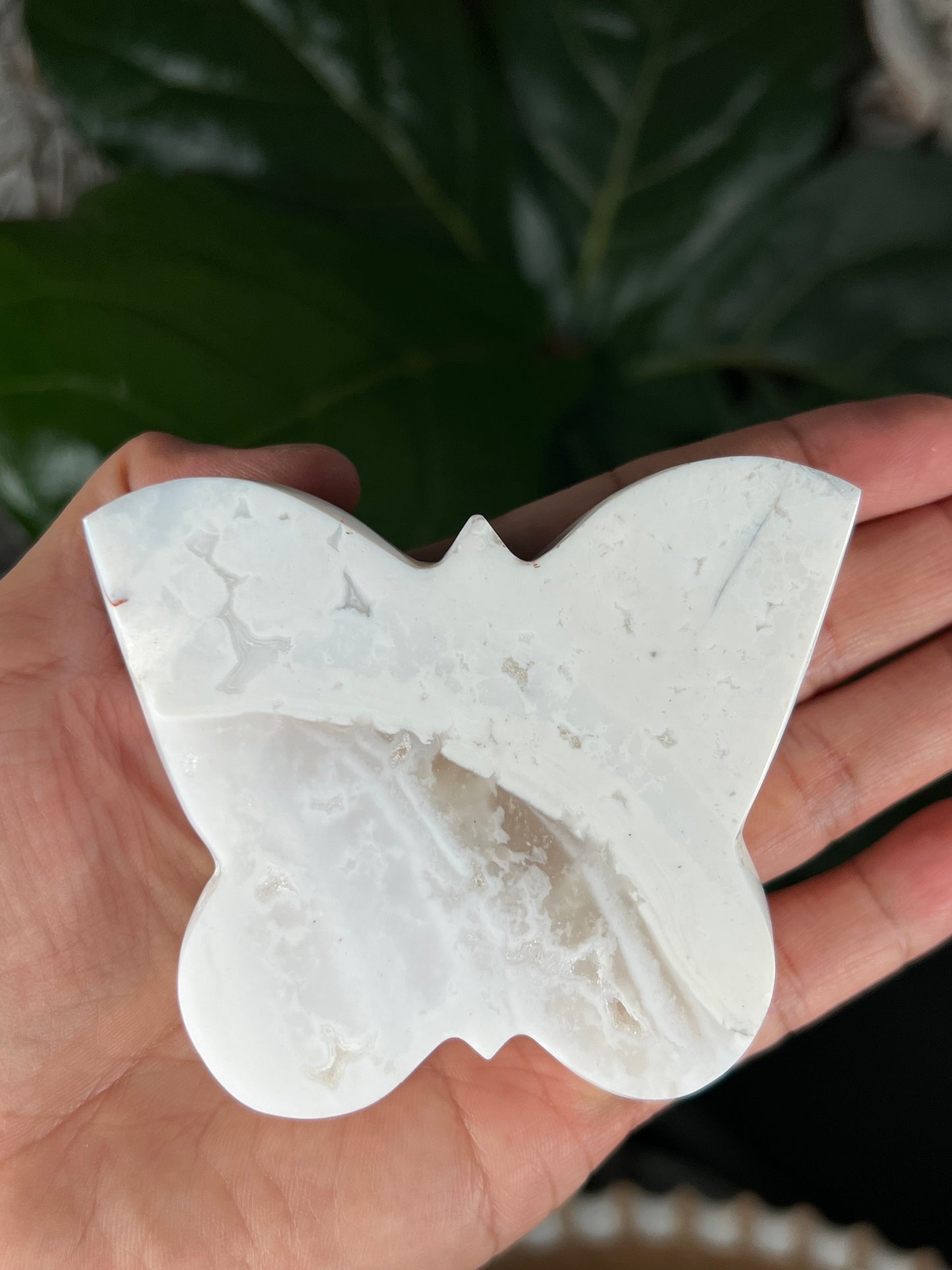 White Plume Agate Butterfly