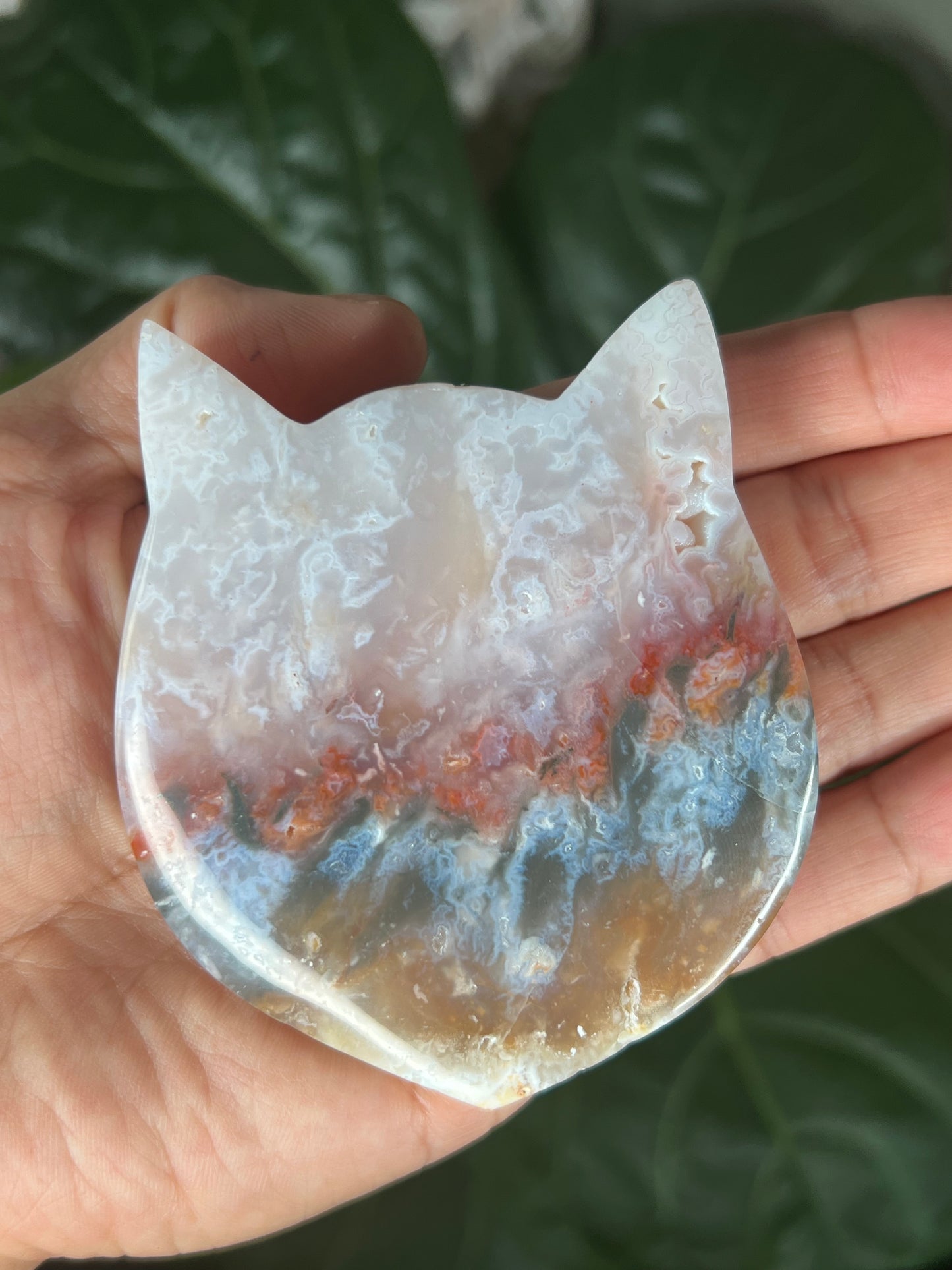 Rainbow Plume Agate Cat