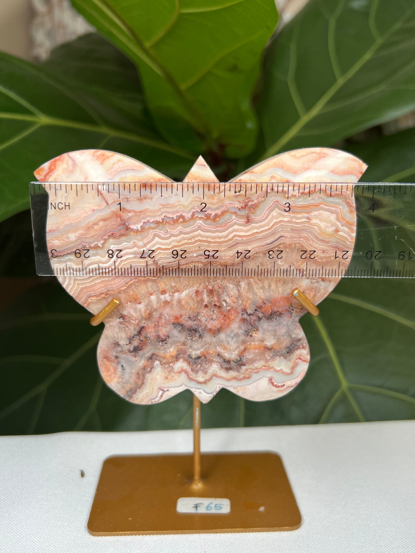 Crazy Lace Agate Butterfly