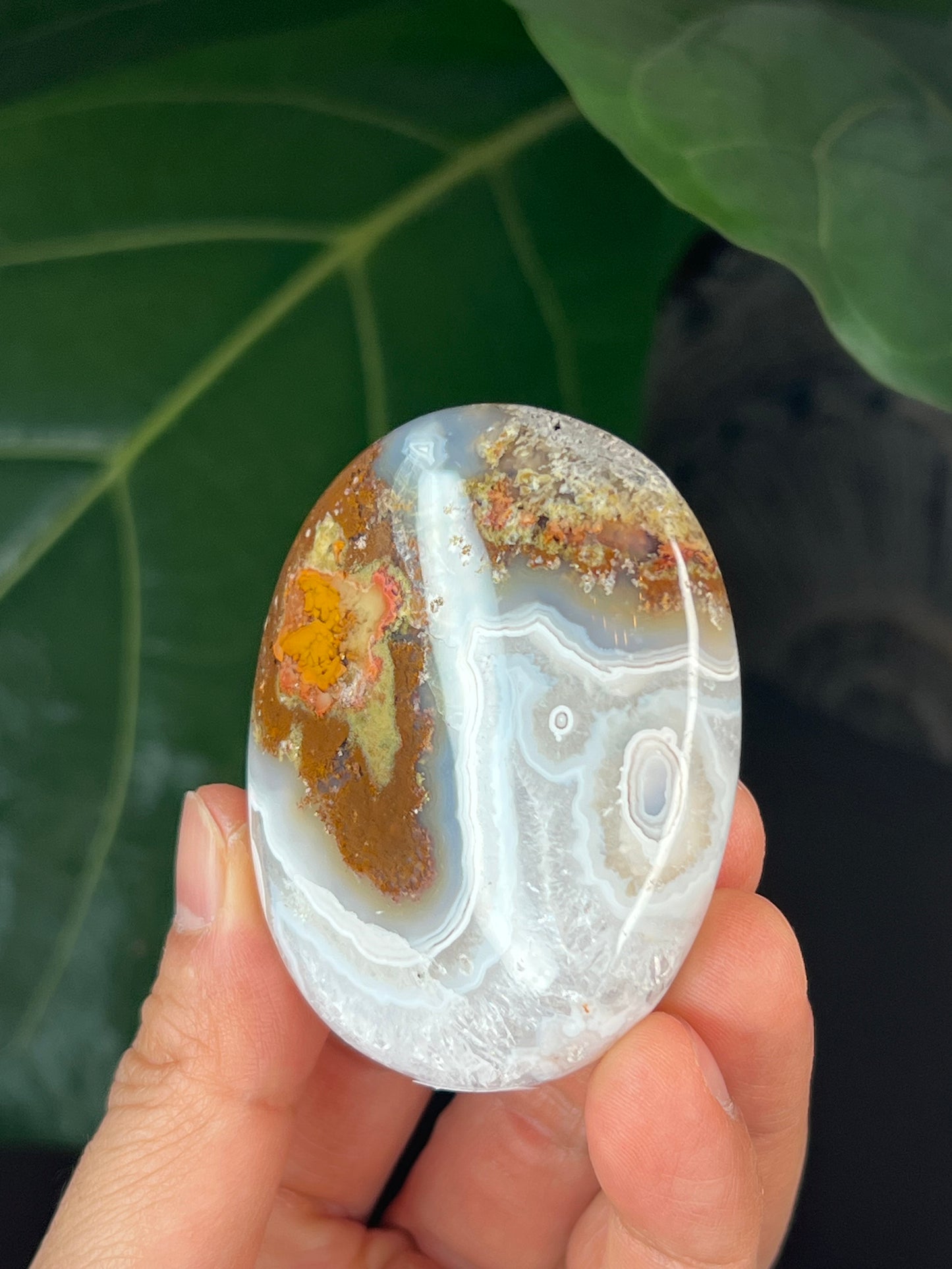 Scenic Moss Agate Palmstone