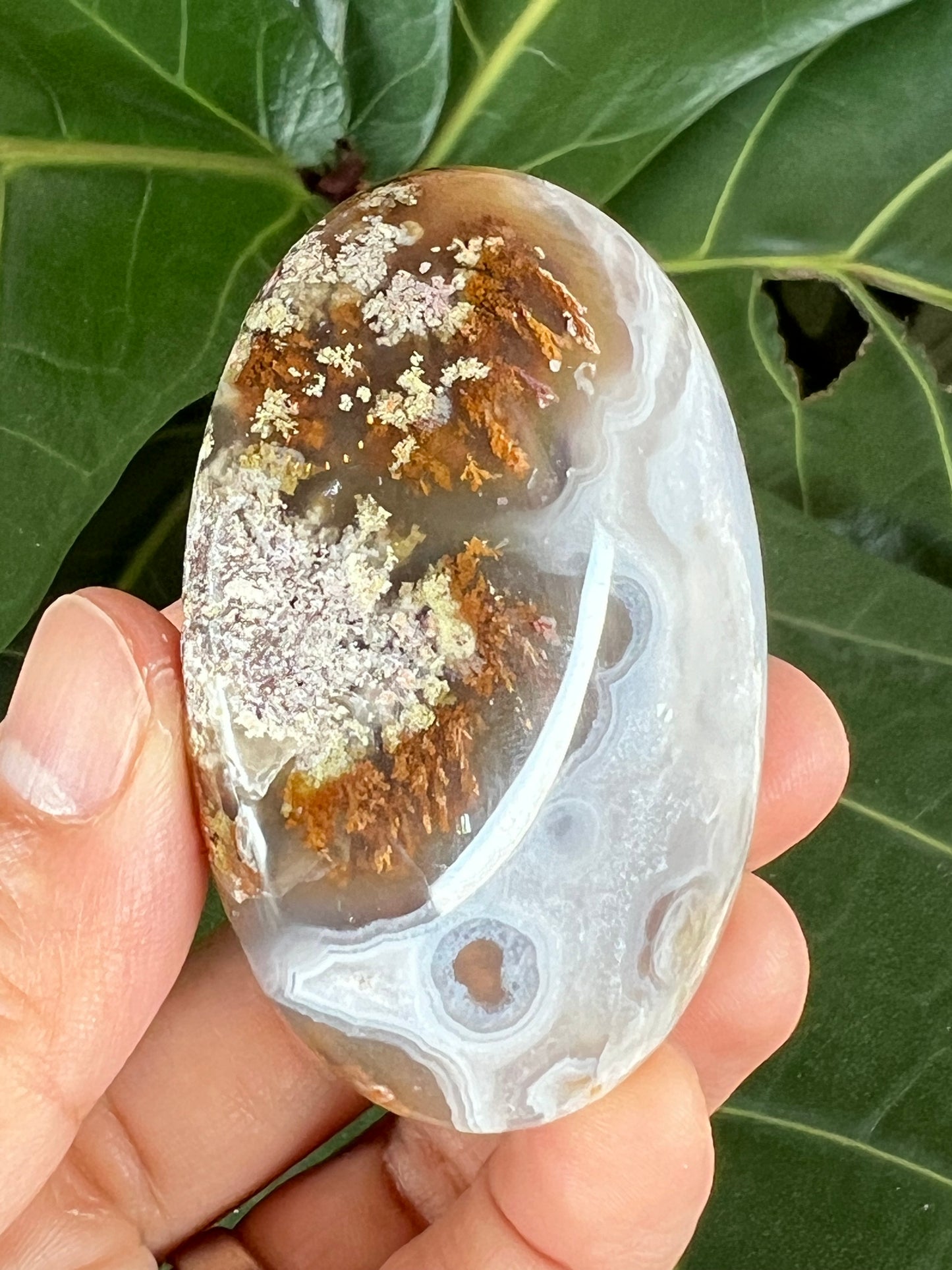 Scenic Moss Agate Palm Stone