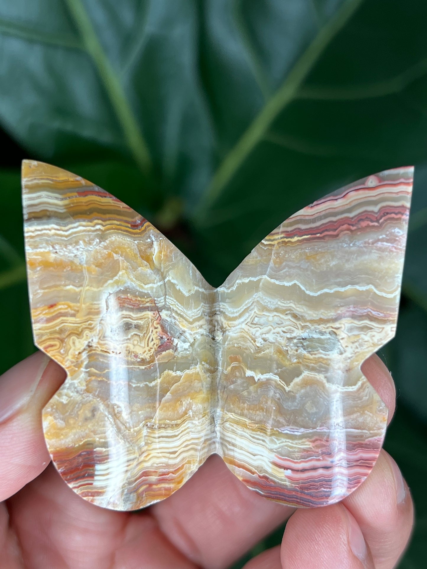 3D Butterfly Crazy Lace Agate