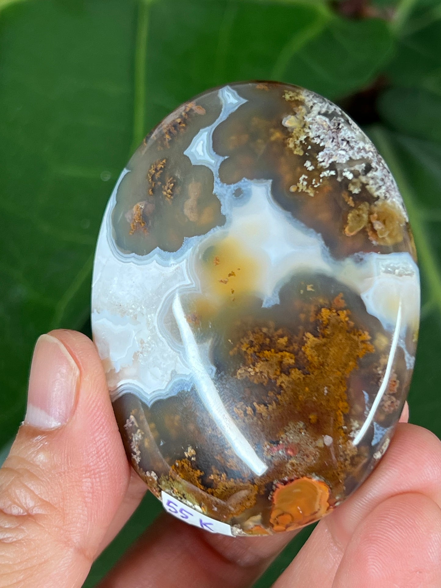 Scenic moss agate palm stone