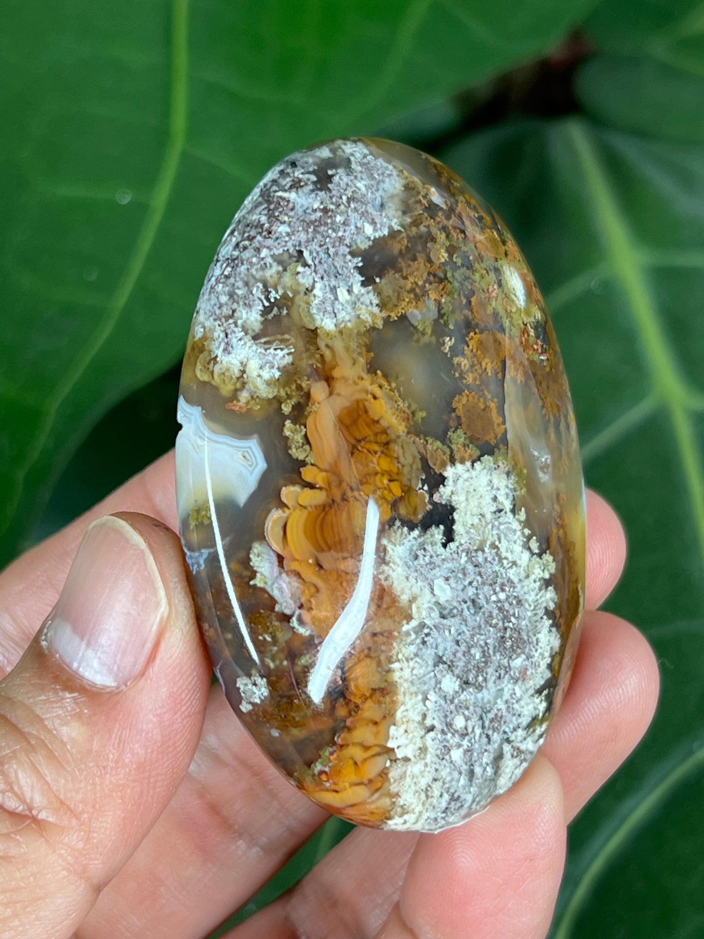 Scenic moss agate palm stone