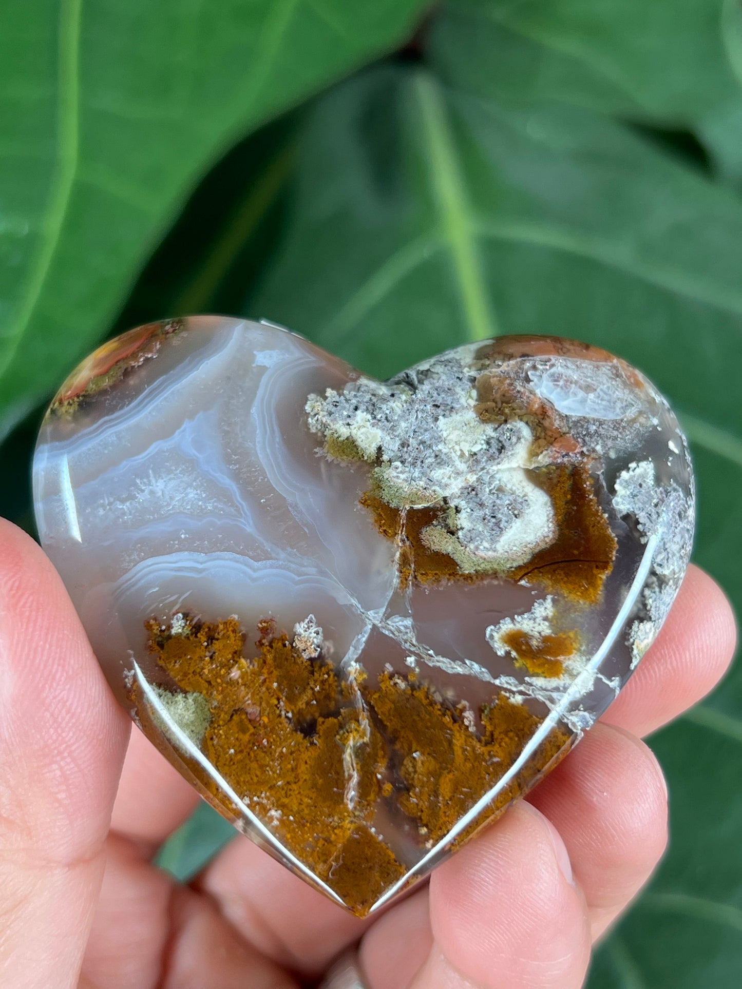 Scenic Moss Agate Heart