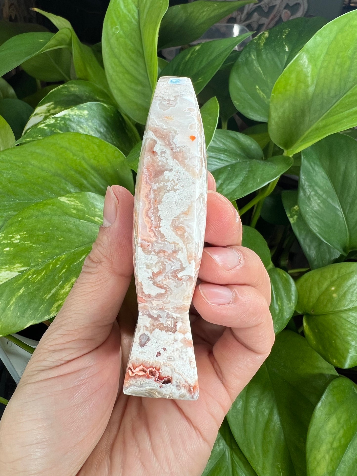 Crazy Lace Agate Moon