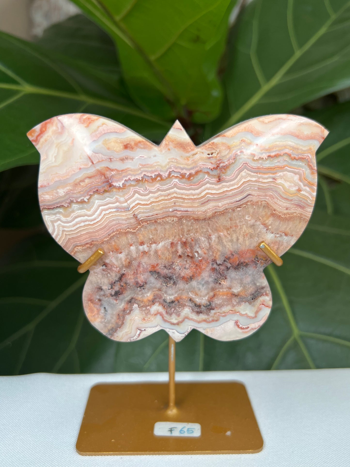 Crazy Lace Agate Butterfly