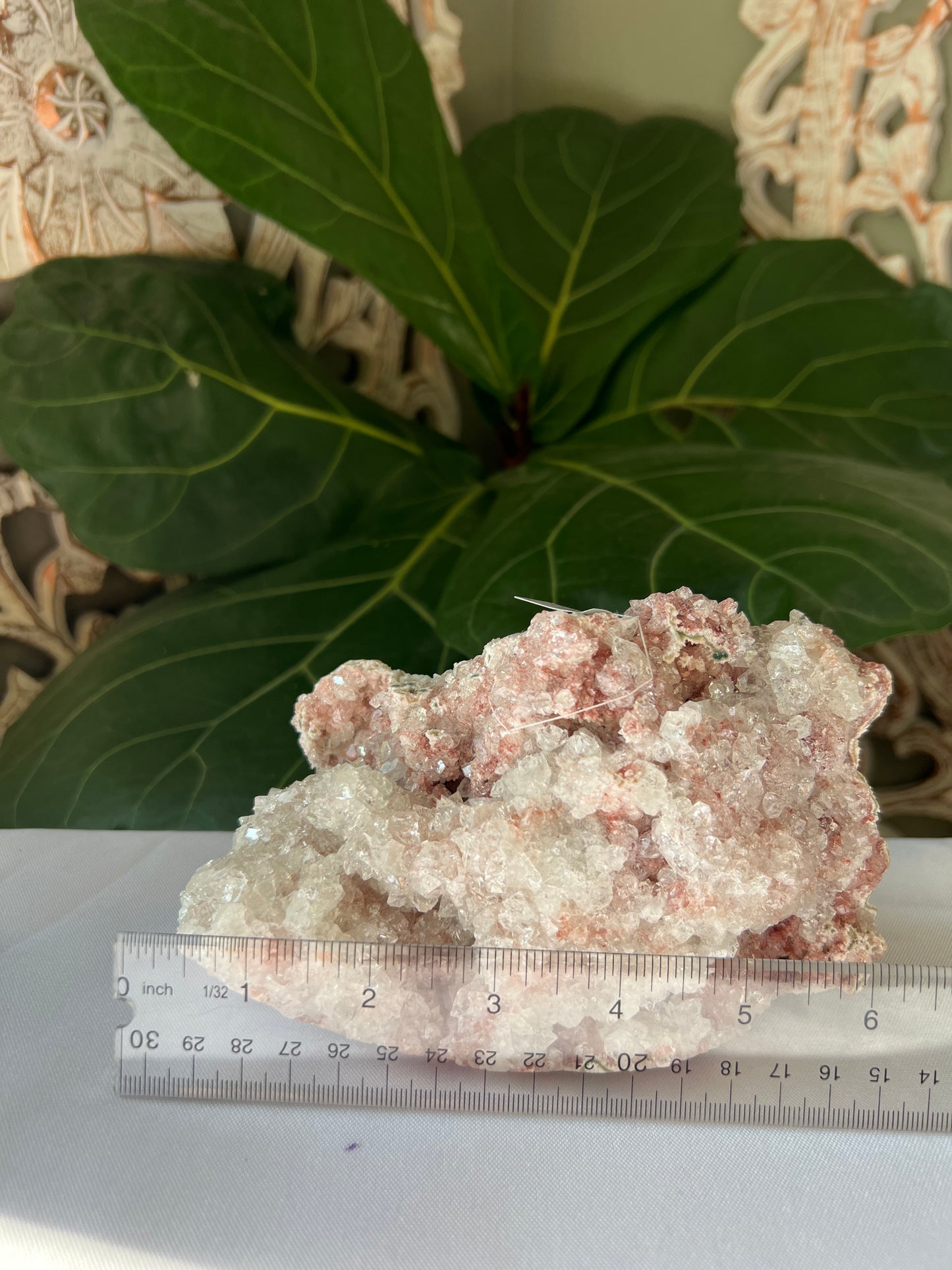 Pink Apophyllite