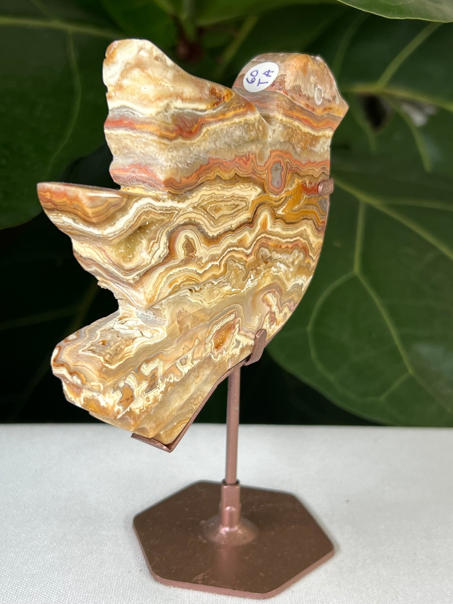 Crazy Lace Agate Bird