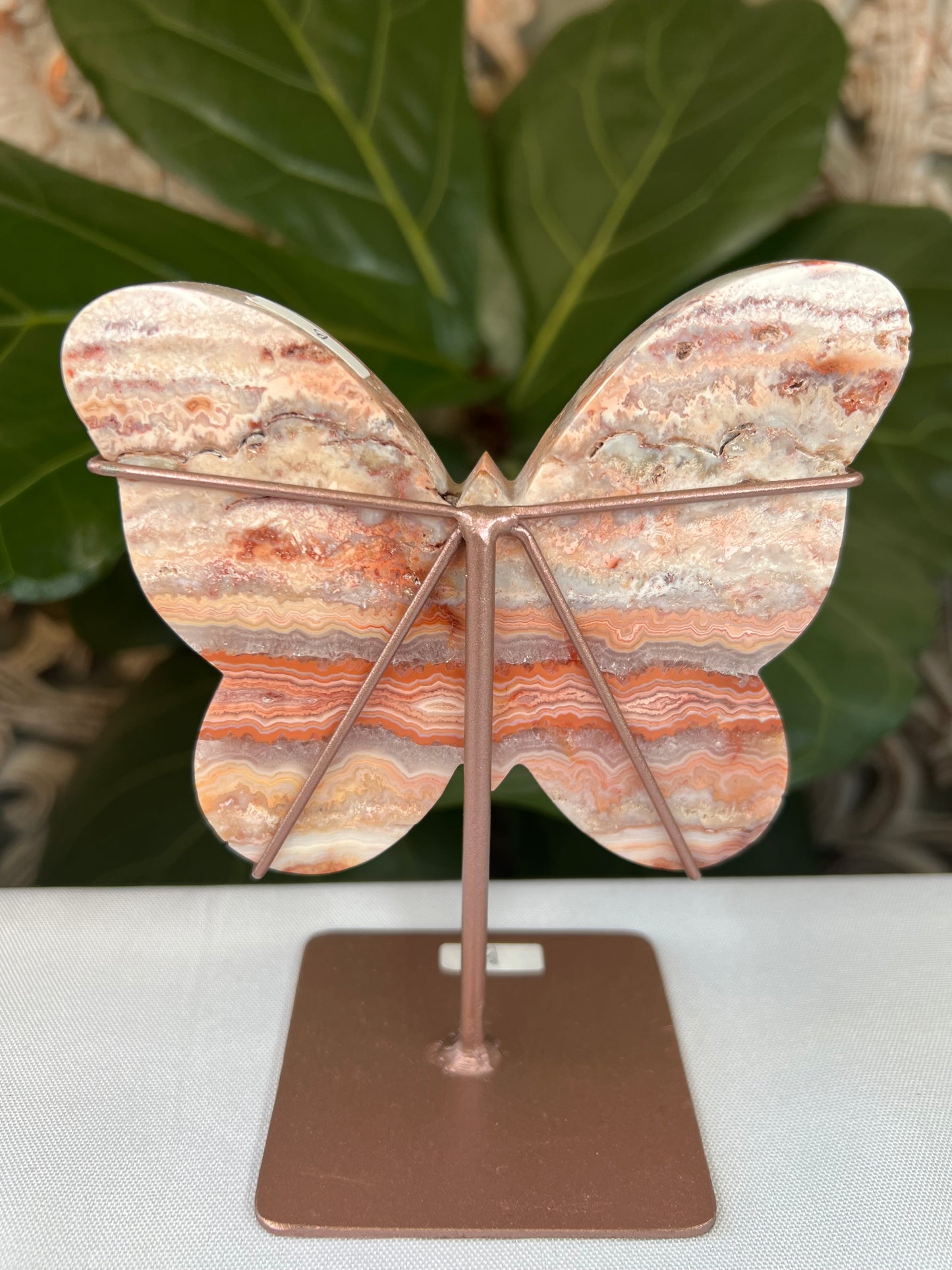 Crazy Lace Agate Butterfly