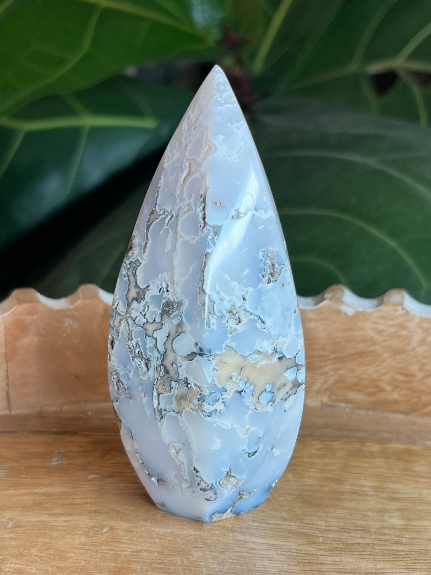 Dendritic Agate Bullet