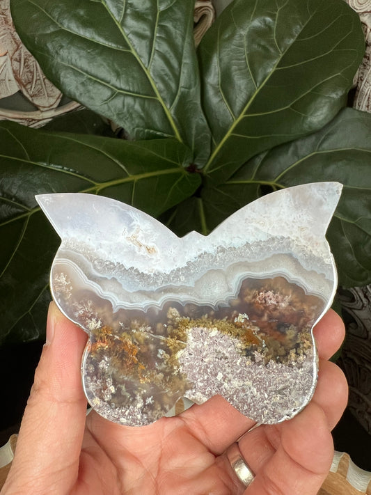 Scenic Moss Agate Butterfly