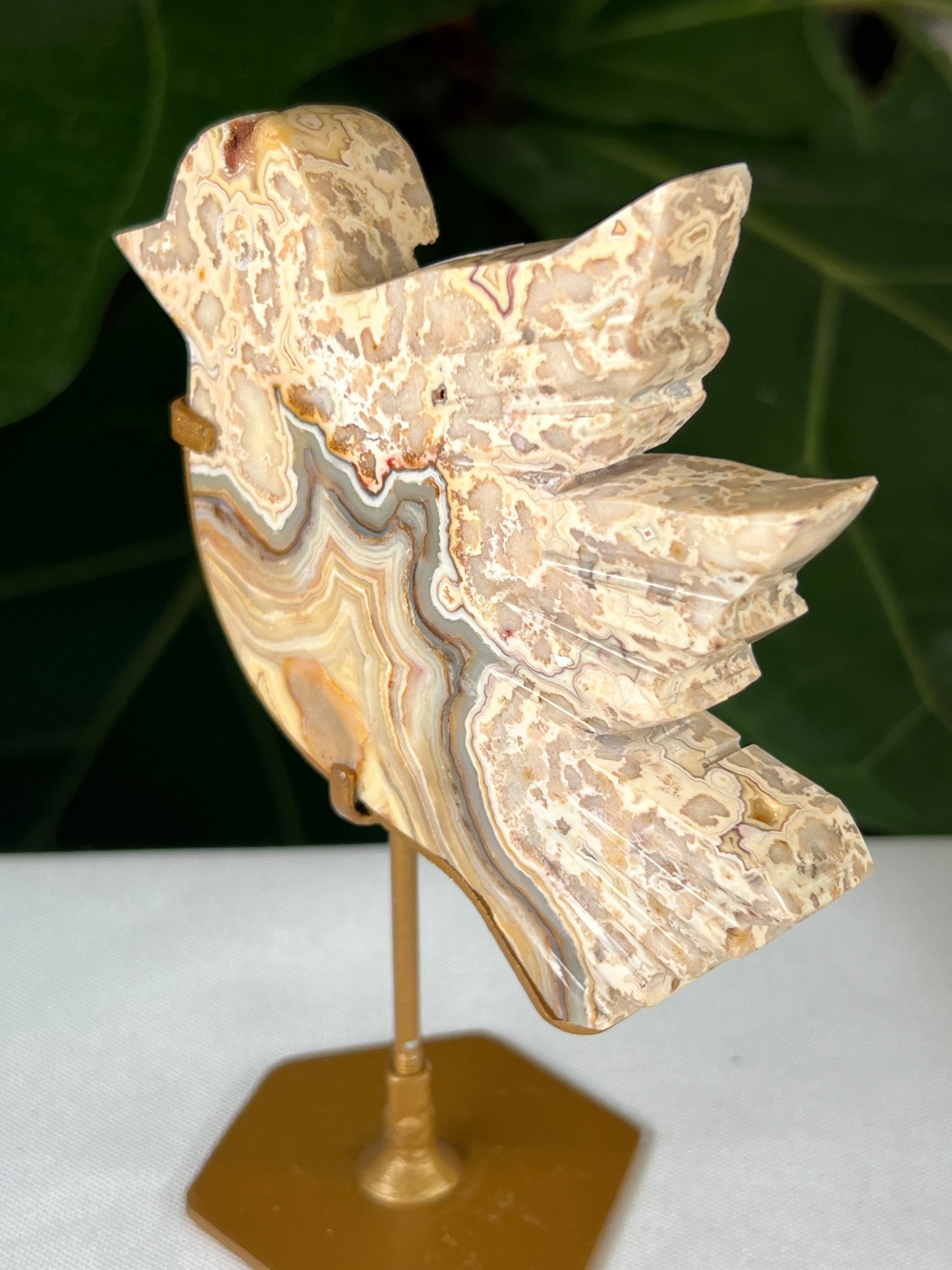 Crazy Lace Agate Bird